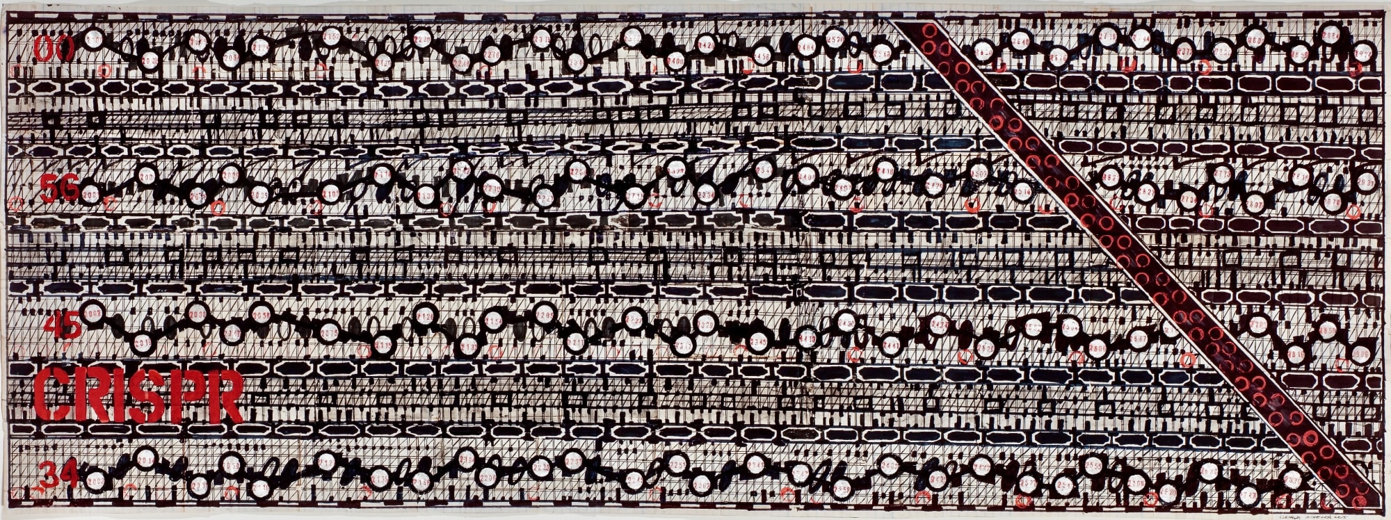 CRISPR, 2015 Ink and paint on paper Sight: 19 x 50 in. (48.3 x 127 cm.) Framed: 24 x 56 in. (61 x 142.2 cm.) (GW 142)