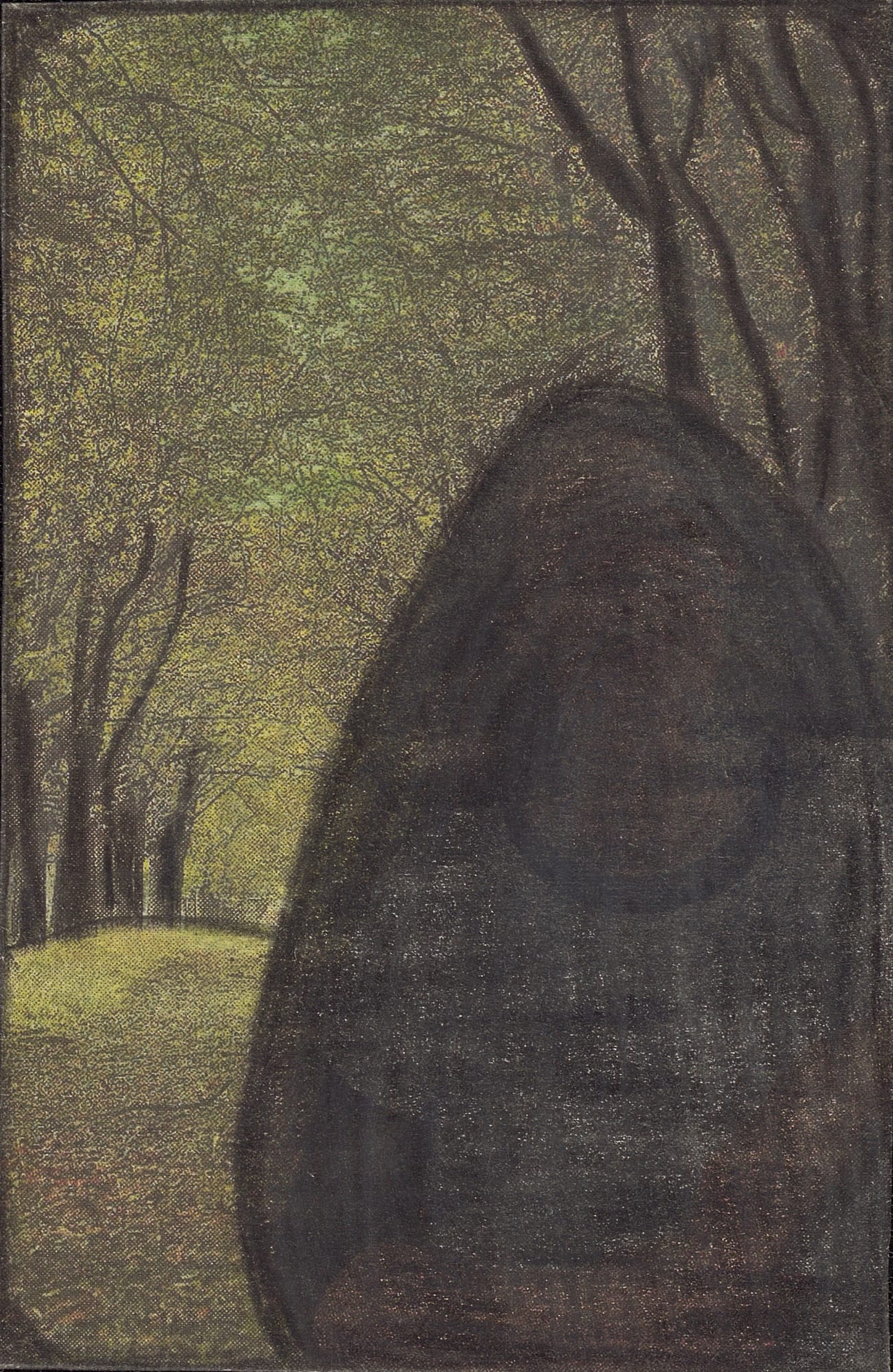 3.4 x 2.2 in. (8.7 x 5.6 cm) (LpS 360)