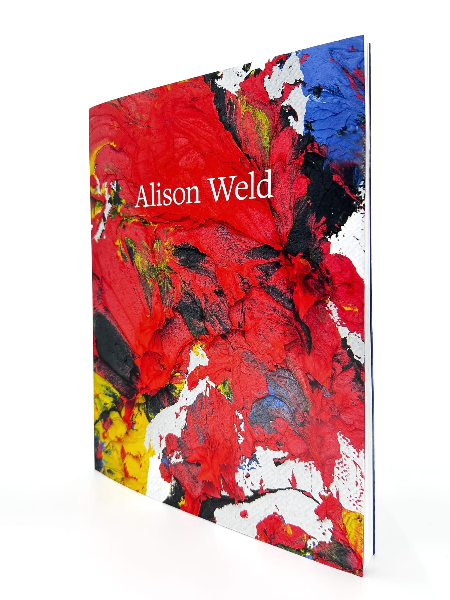 ALISON WELD Ricco/Maresca, 2022 Essays by: Rachel Elizabeth Jones and Leslie L. Luebbers