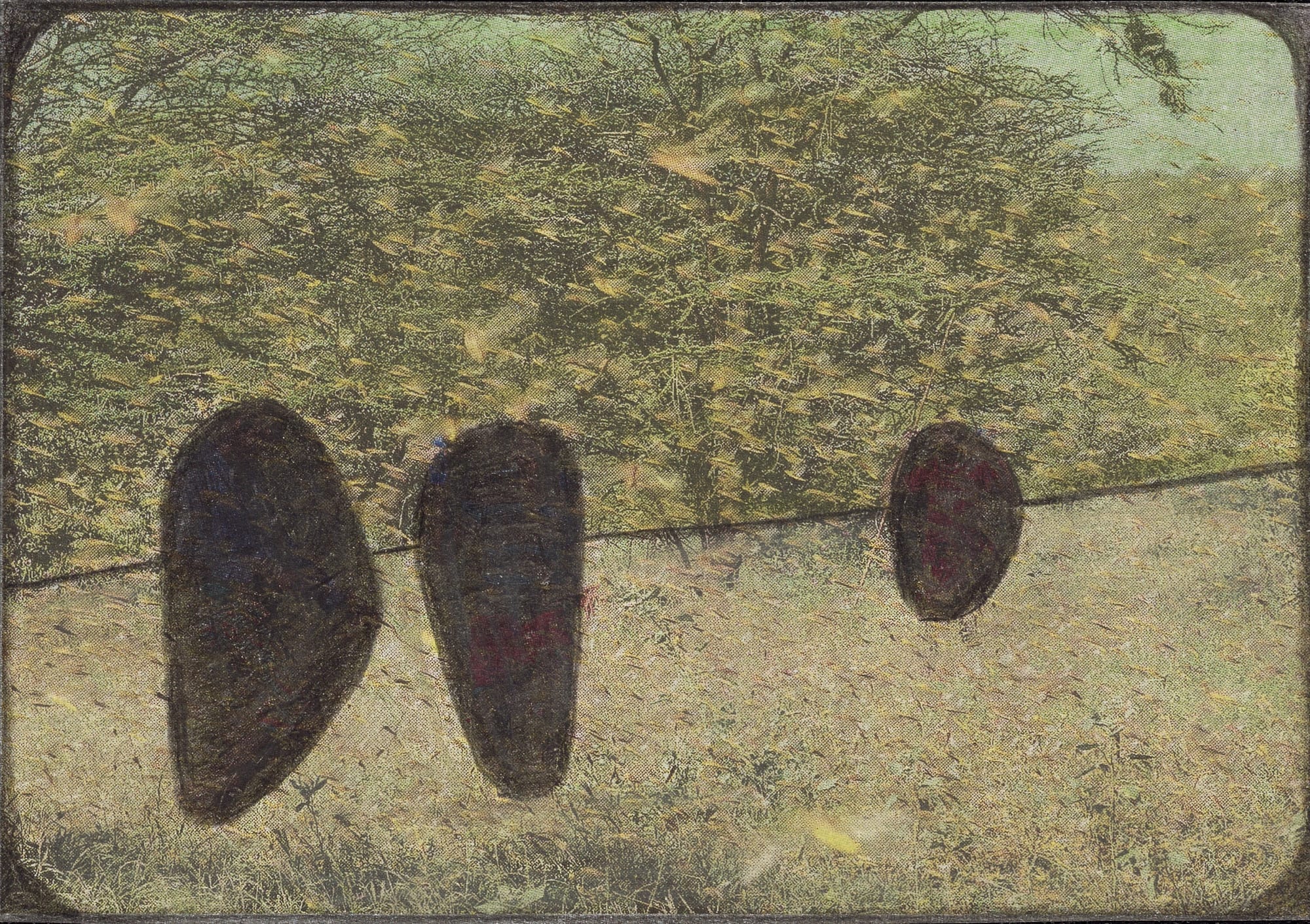 2020 3.1 x 4.4 in. (7.9 x 11.2 cm) (LpS 331)