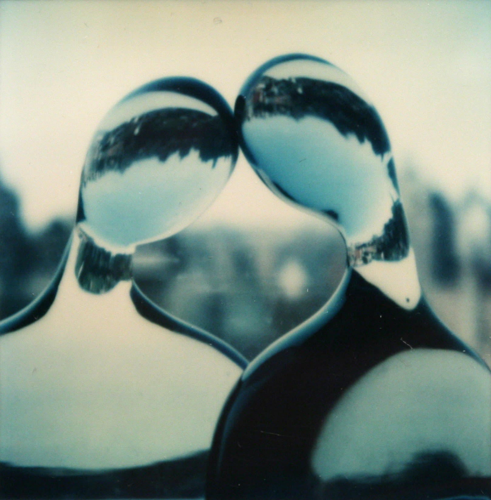 Andr&eacute; Kert&eacute;sz August 9, 1979 SX-70 Polaroid 4 1/4 x 3 1/2 in. (10.8 x 8.9 cm) (BSG 4)