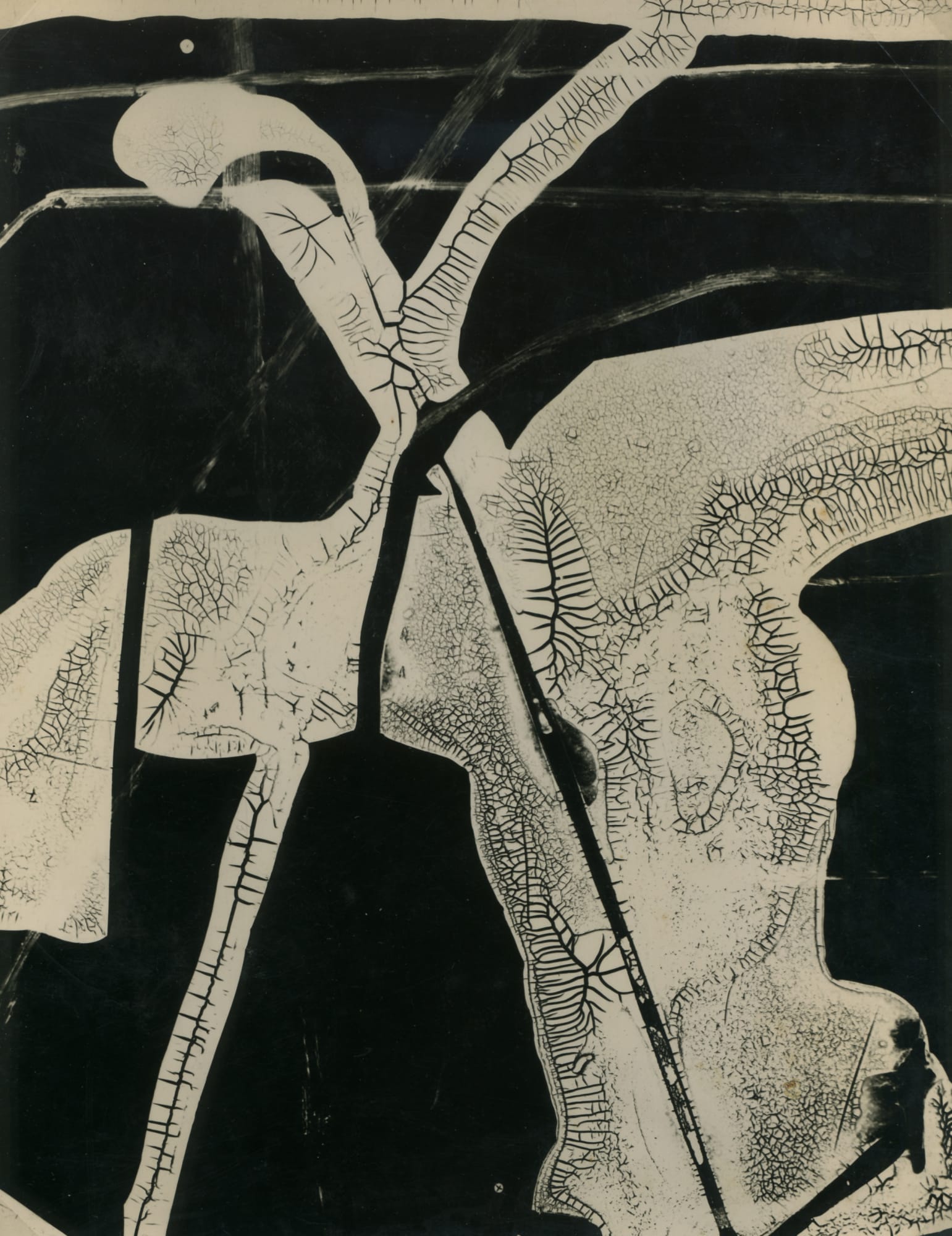 György Kepes Untitled, 1938 Vintage "cliche verve" photogram, printed ca. 1938 9 1/2 x 7 1/2 in. (24.13 x 19.05 cm) (BSG 23)