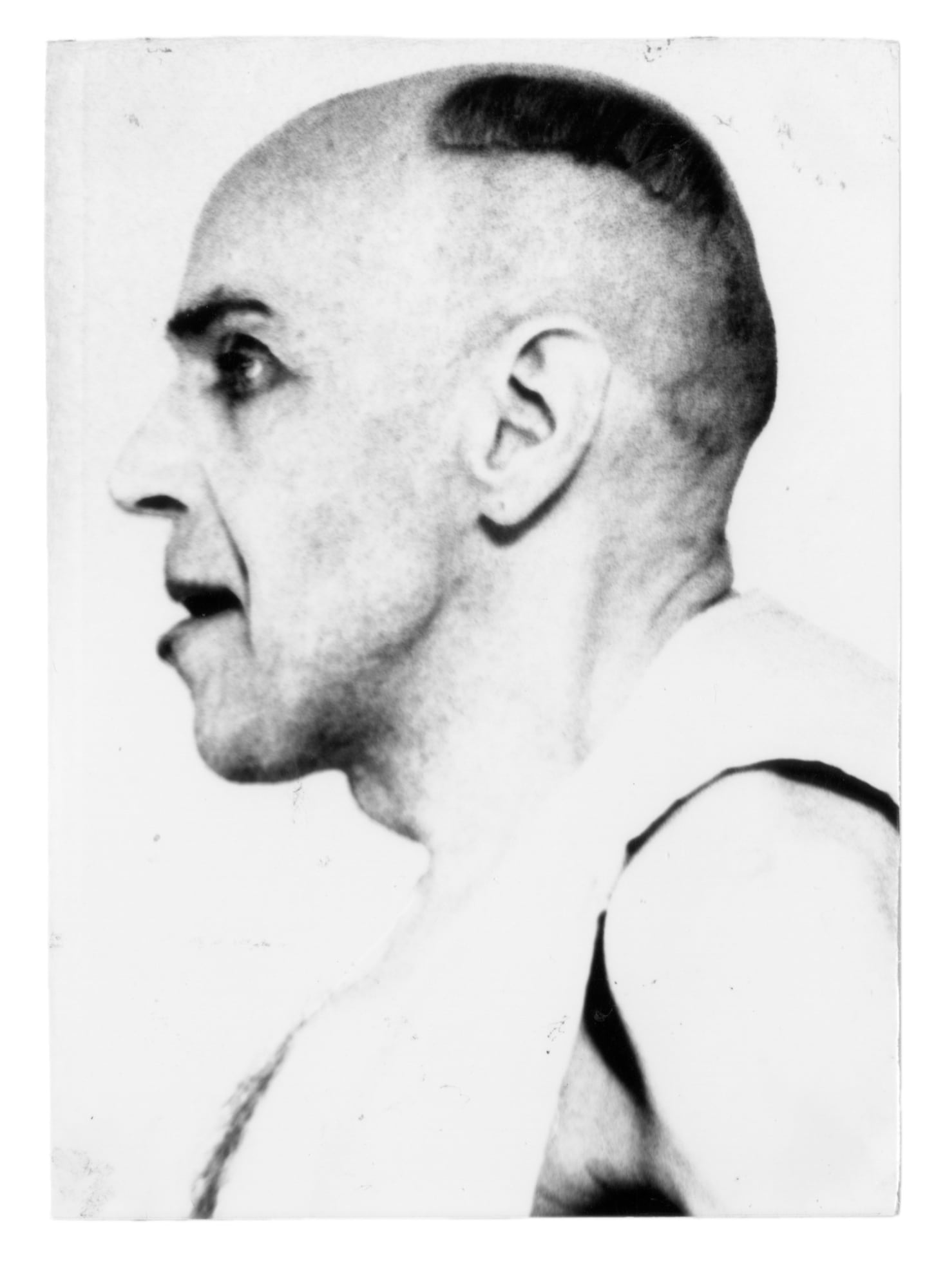 2003 2 3/8 x 3 1/8 in. (6 x 8 cm) (TzM 11)