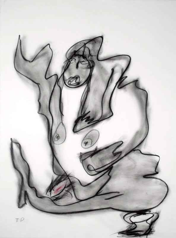 Untitled, 1995 Charcoal on paper 30 1/2 x 22 1/4 in. (77.5 x 56.5 cm) (TD 20)