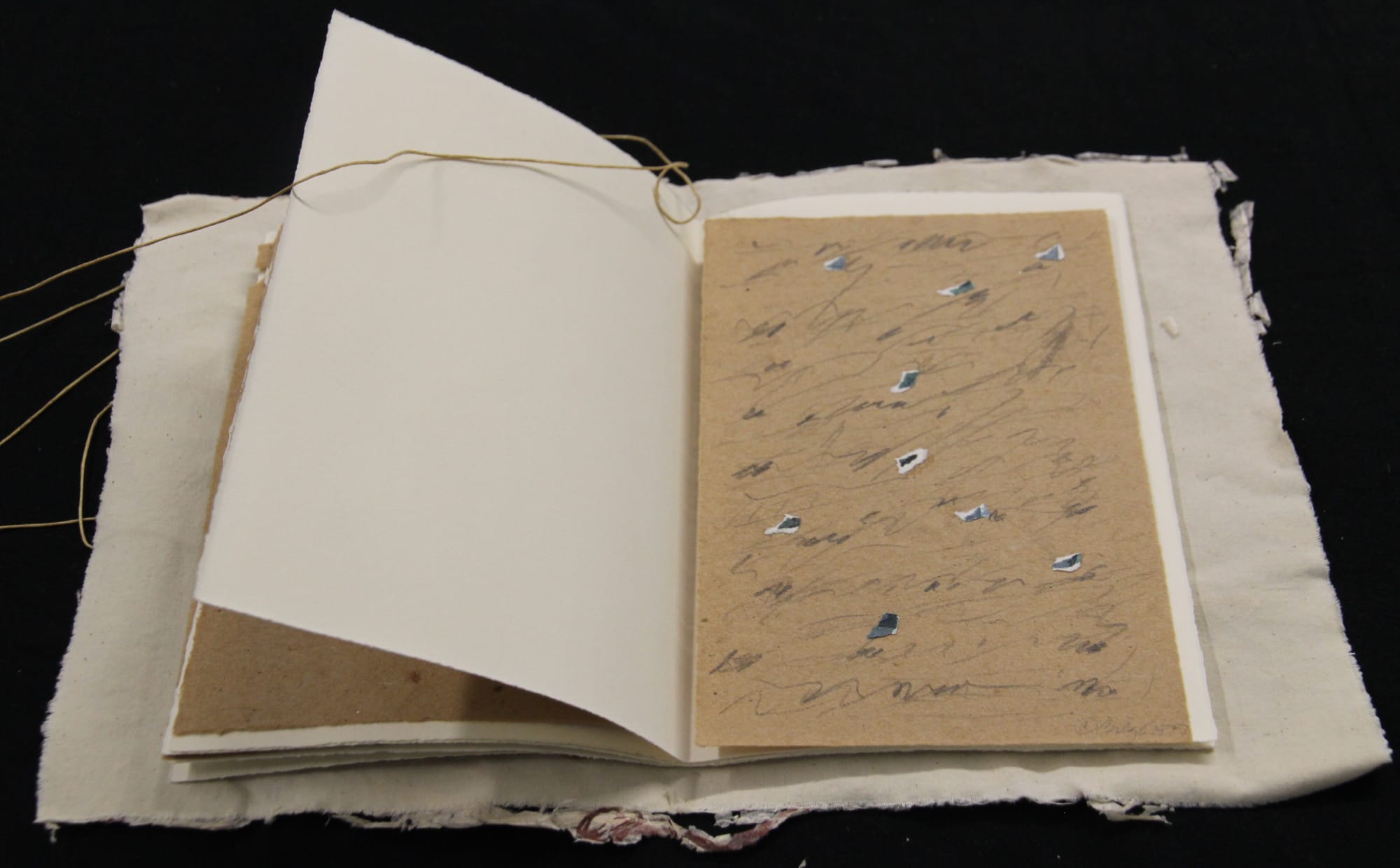 Bilge Friedlaender, Victoria - A Book of Water, 1978 (detail)