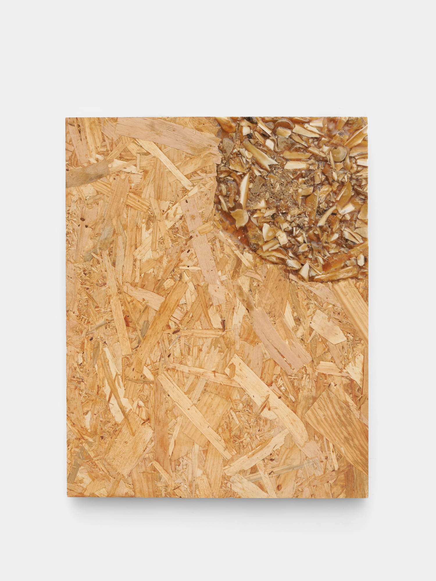 OSBB1 (Oriented Strand Board and Bone), Le Buisson, 2023
