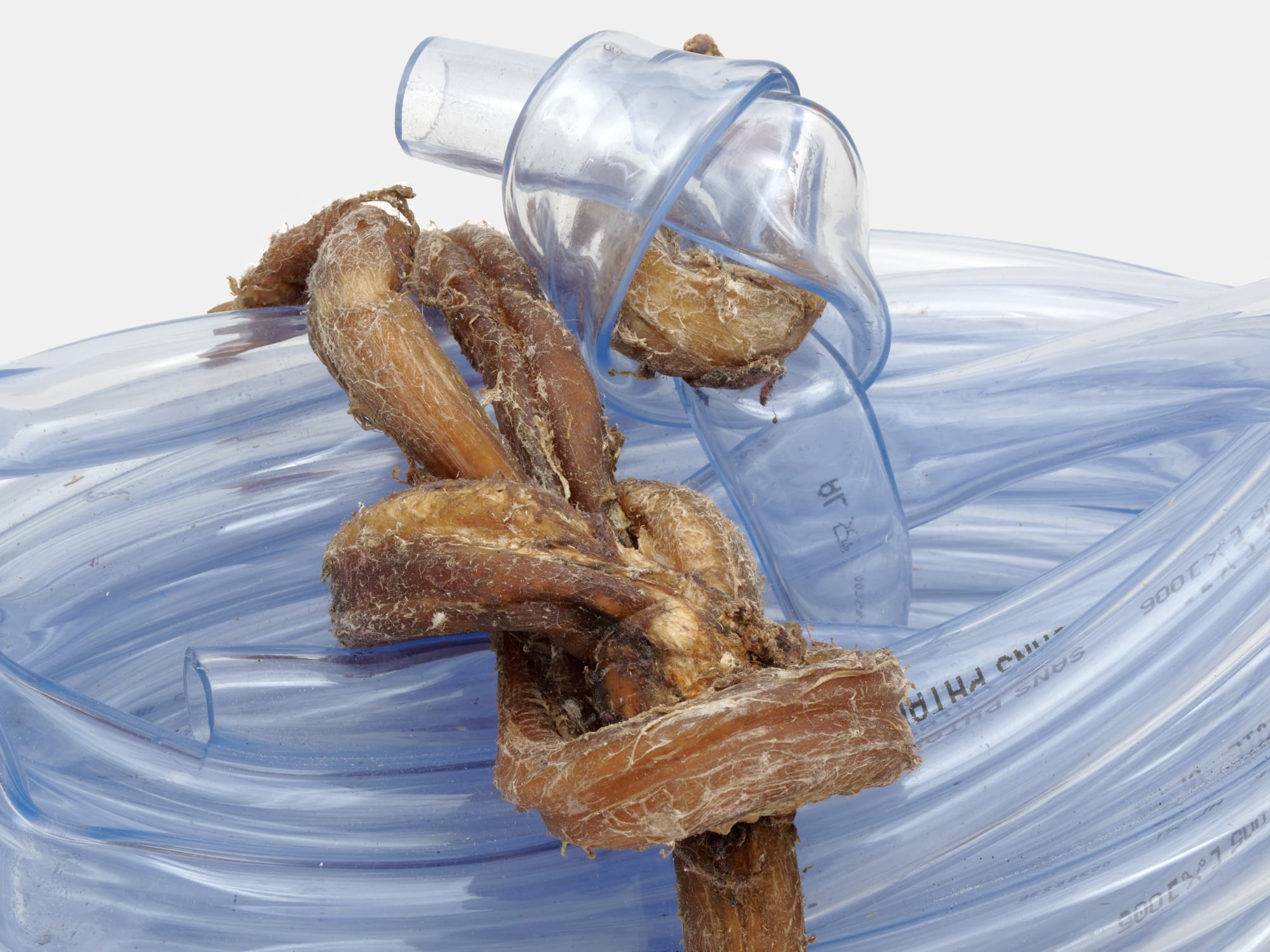 Tout-Tuyau-Tout-Nerfs, Le Buisson, 2024