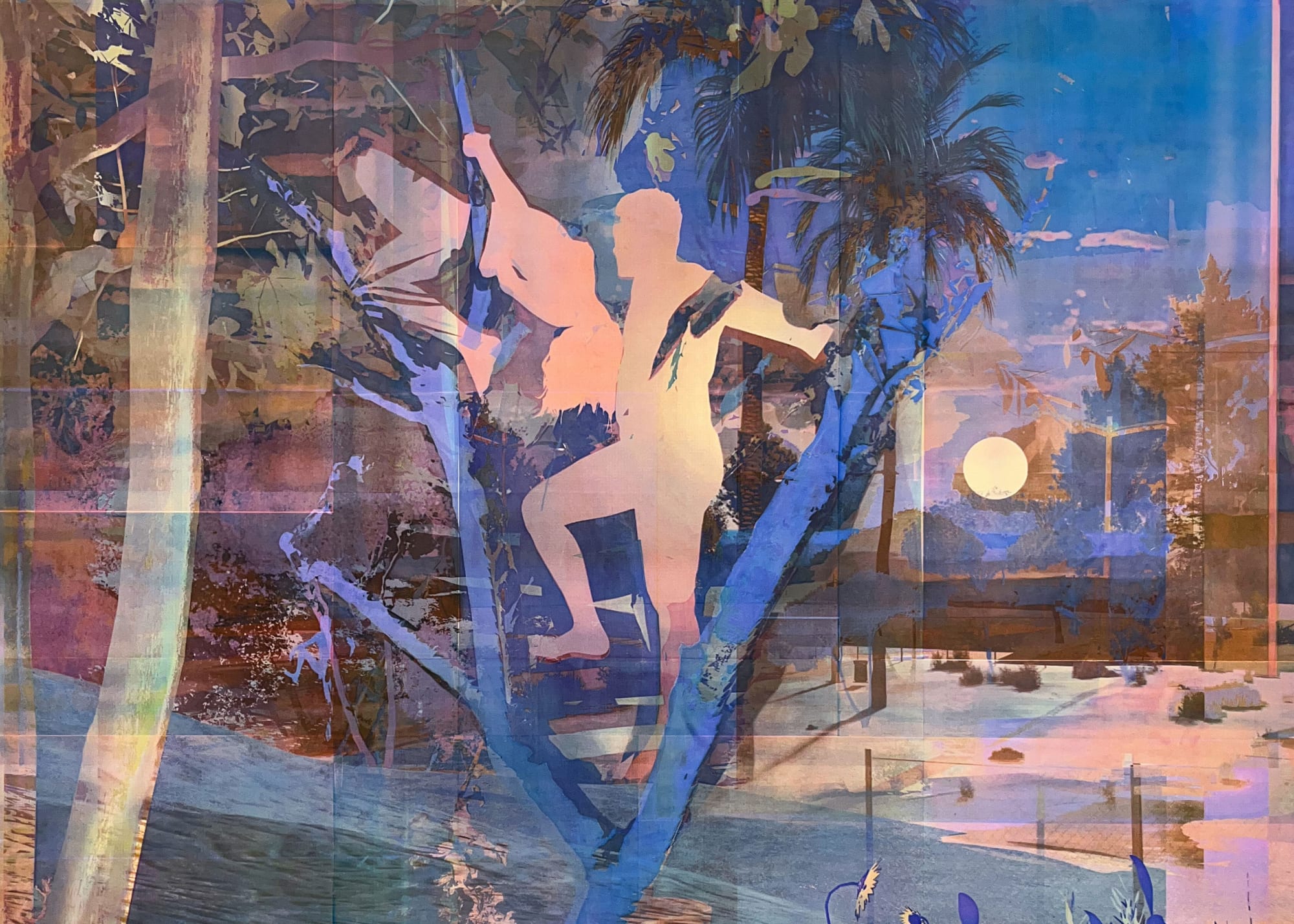 Zoe Walsh: Night Fields