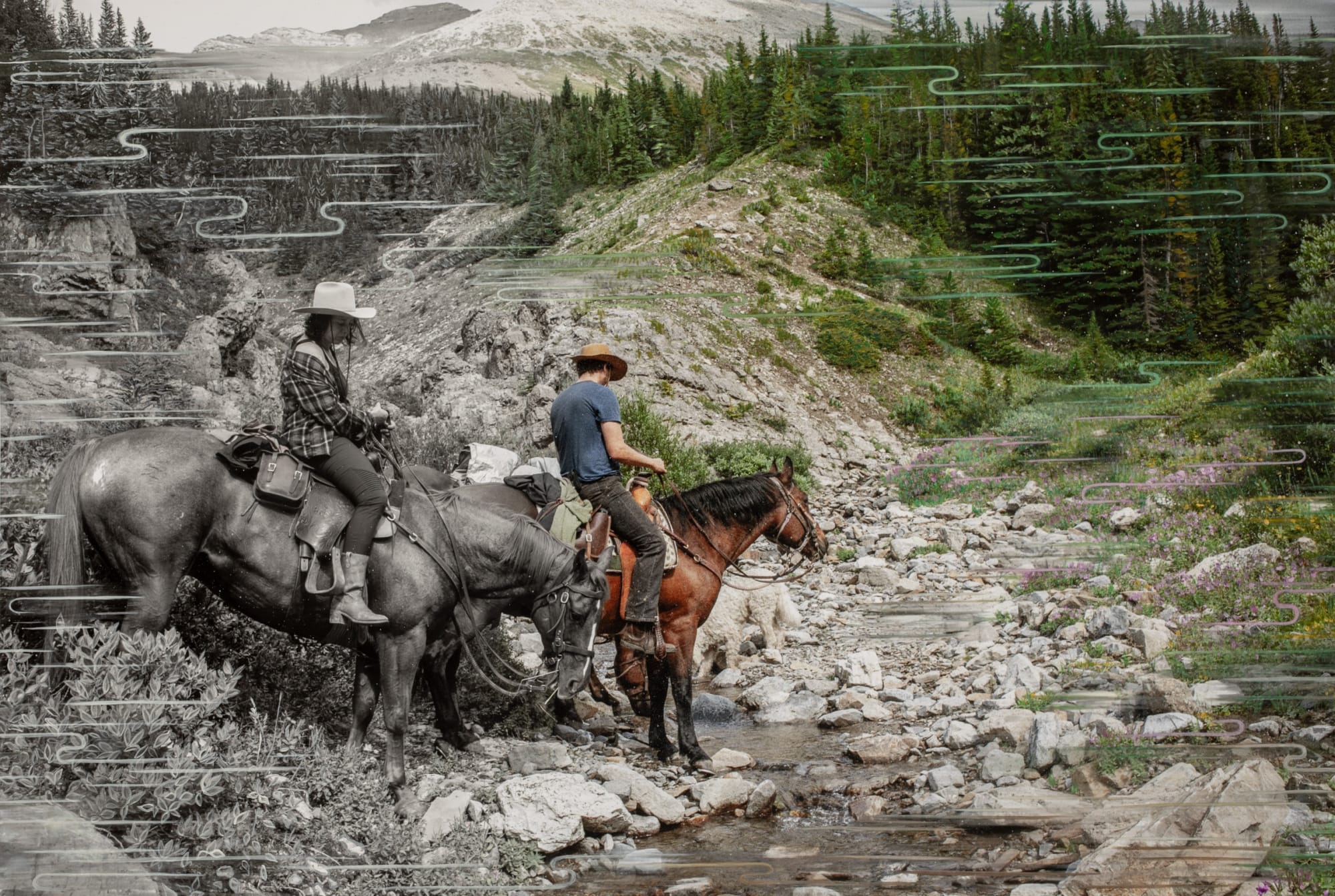 Sarah Anne Johnson: A Mountain and a Forest