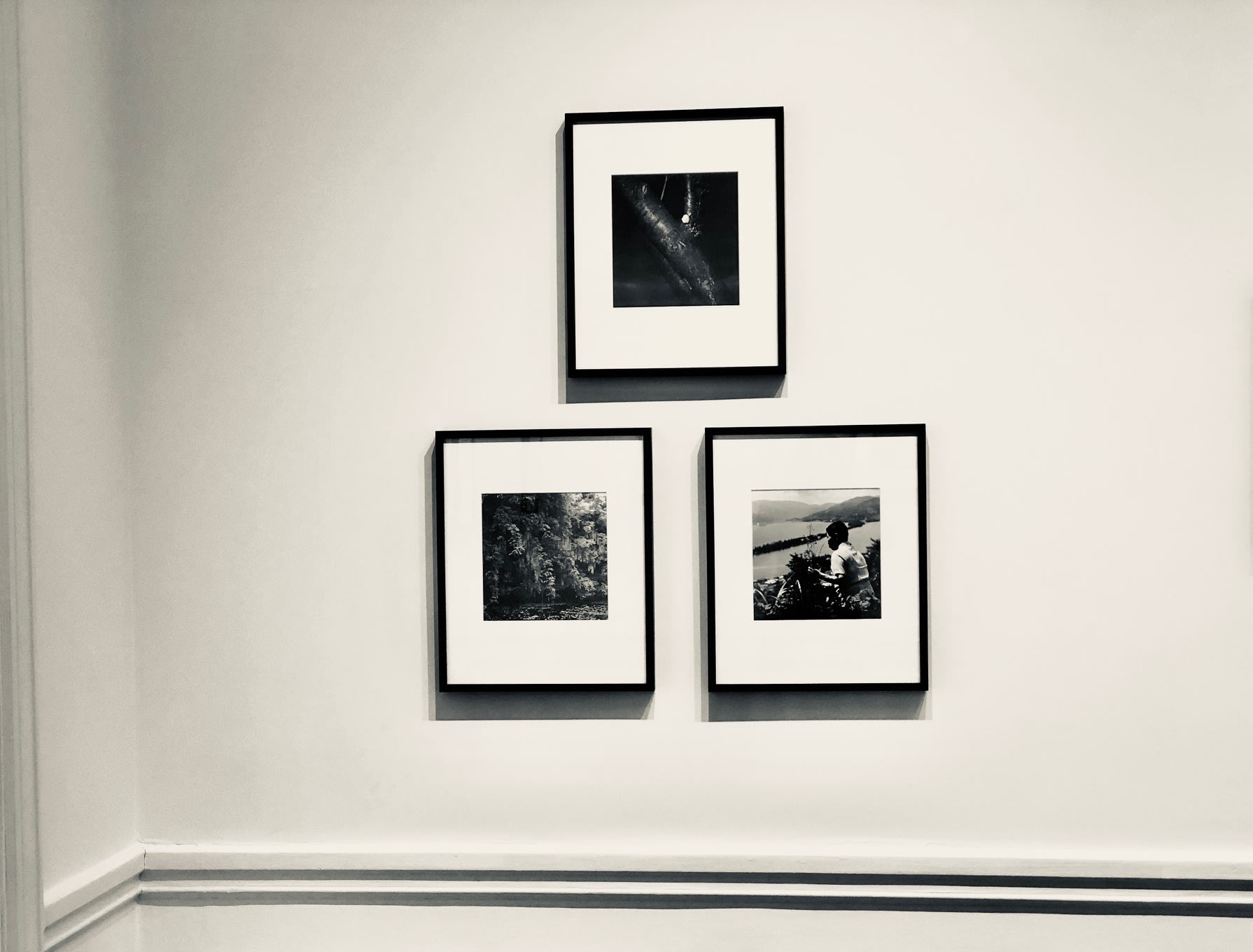 The Legacy of Issei Suda (1940-2019): Human Memory