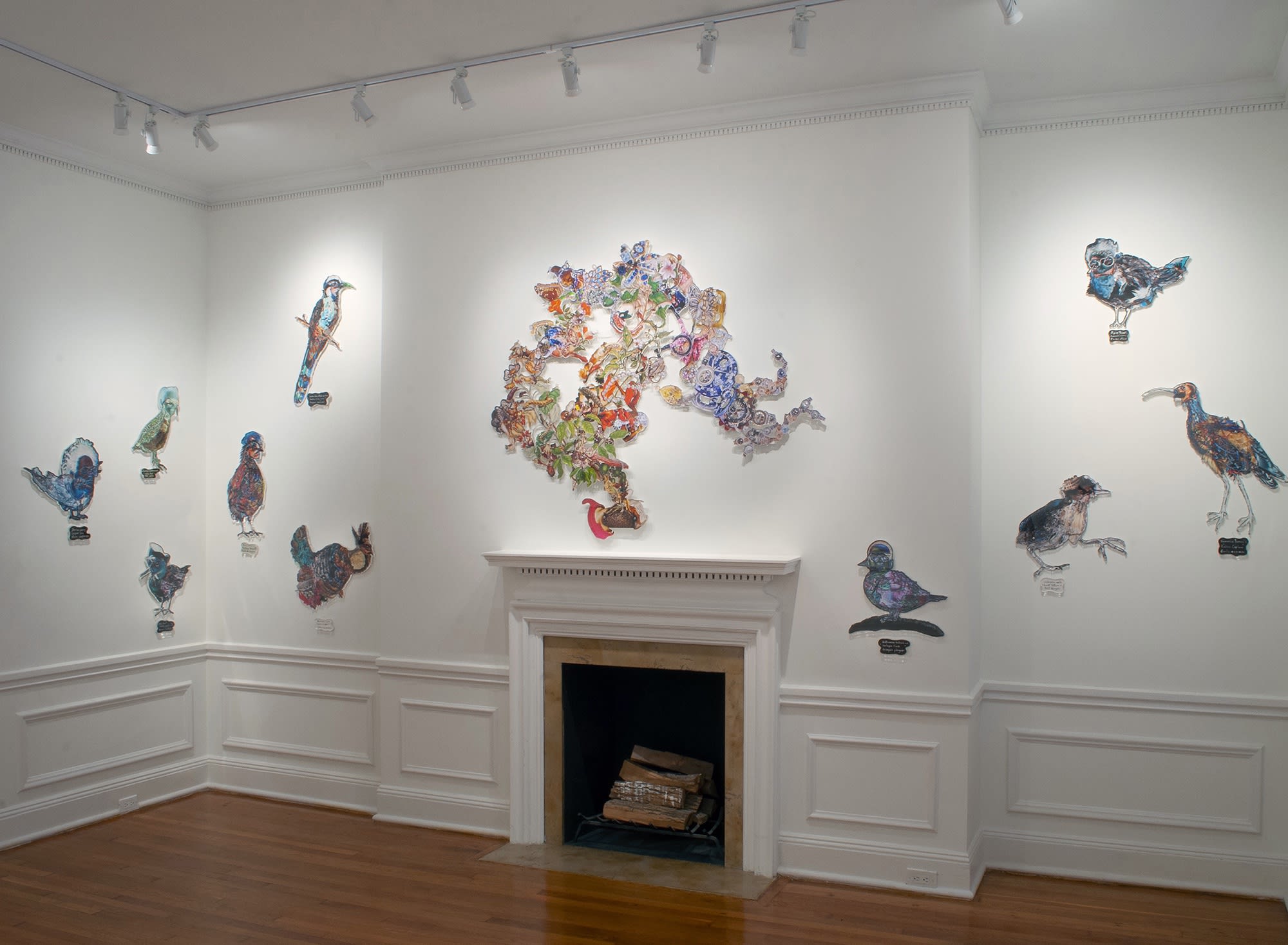 Dominique Paul: Silent Spring, Installation View 2020
