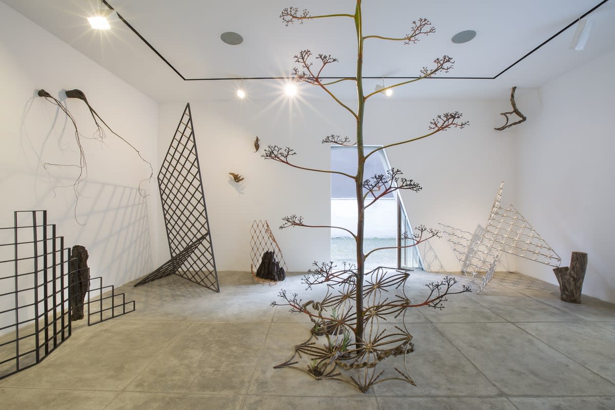 A Ferro e Fogo (Desdobramentos), 2016