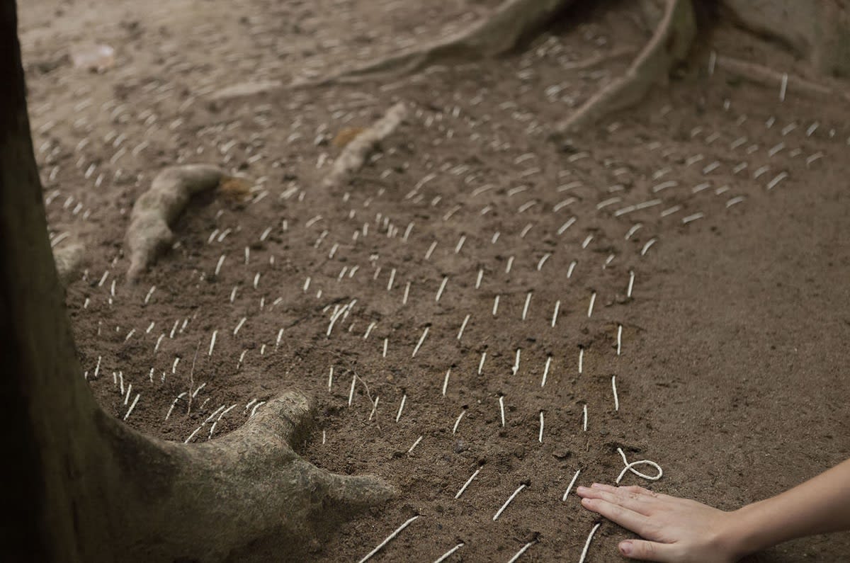 Terra (Parque Lage), 2015