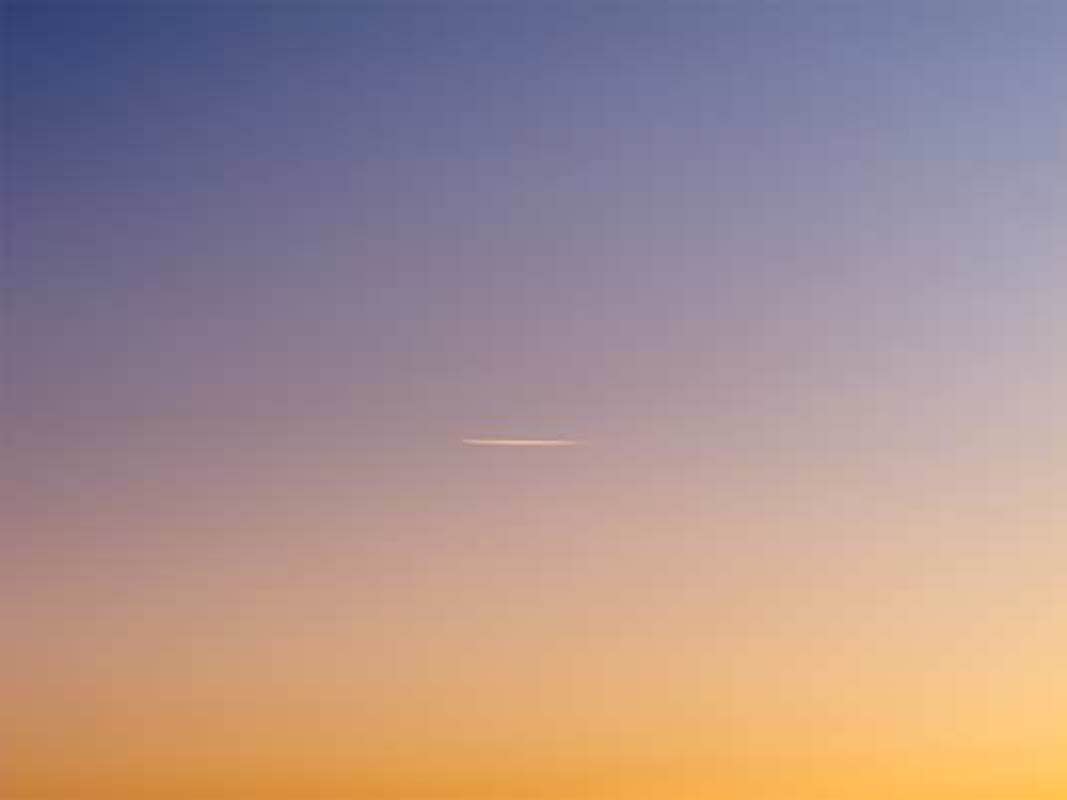 S/ Título (Untitled), 2013