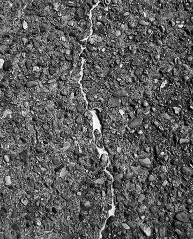 Maria Laet - Milk on pavement, 2008