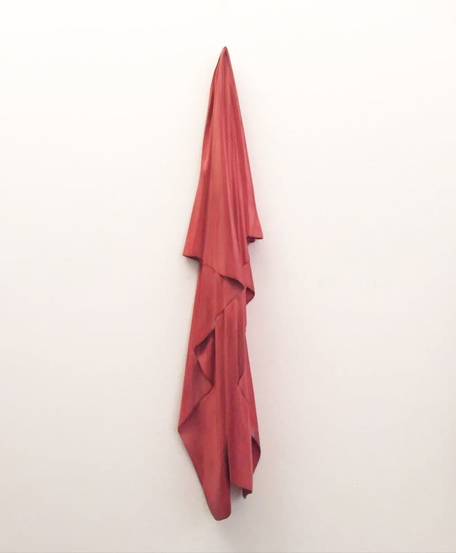 Vanderlei Lopes - Ícone III, 2017