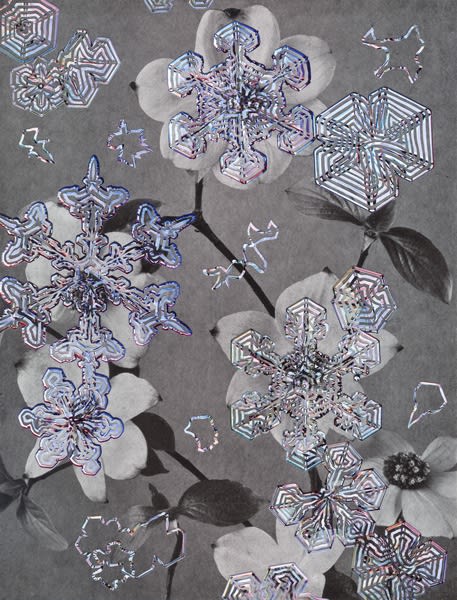 Alexis Anne Mackenzie – Synthesis