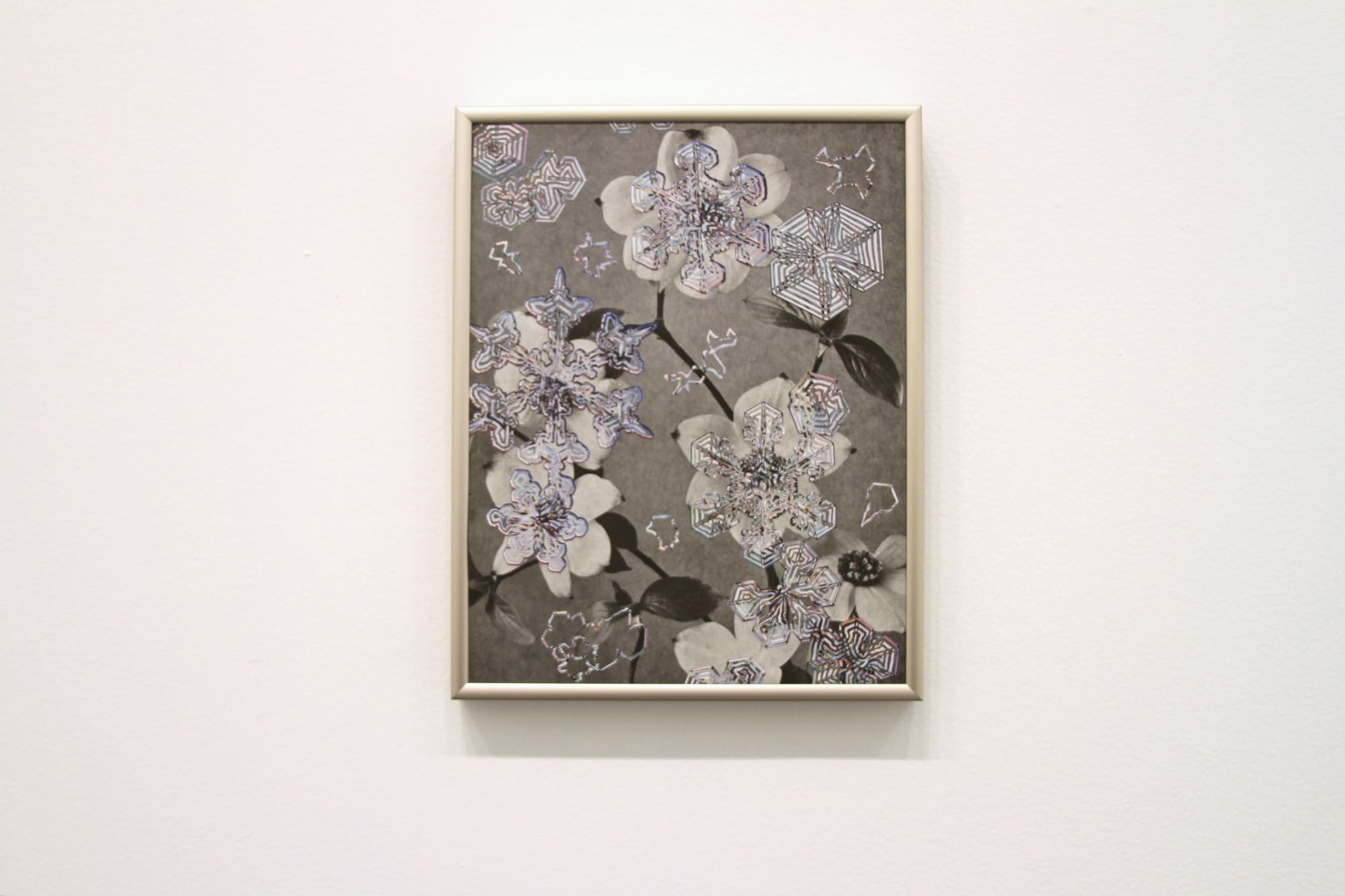 Alexis Anne Mackenzie – Synthesis