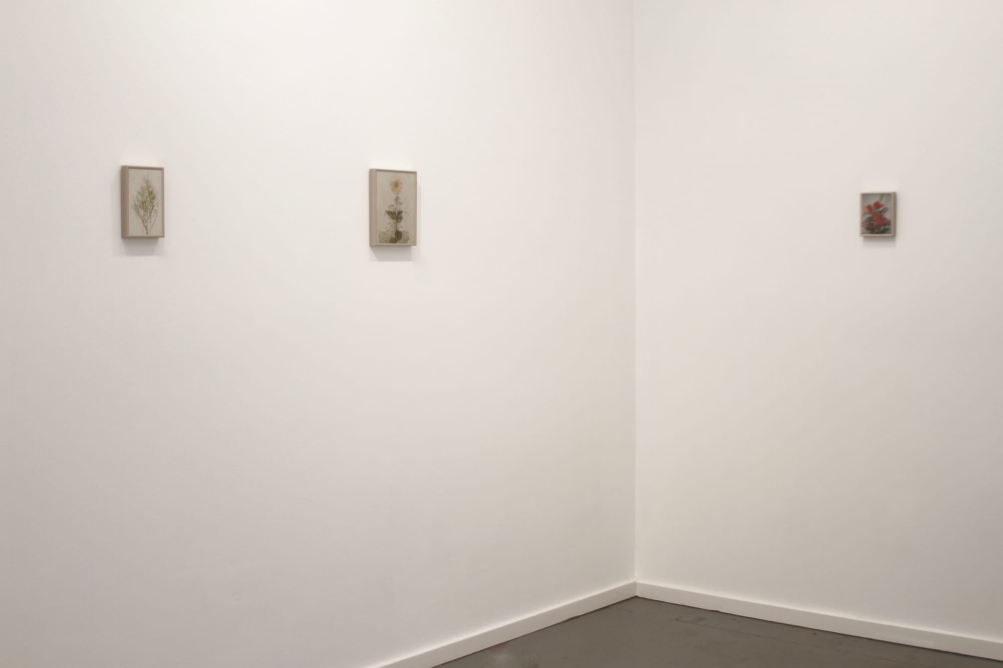 Alexis Anne Mackenzie – Synthesis