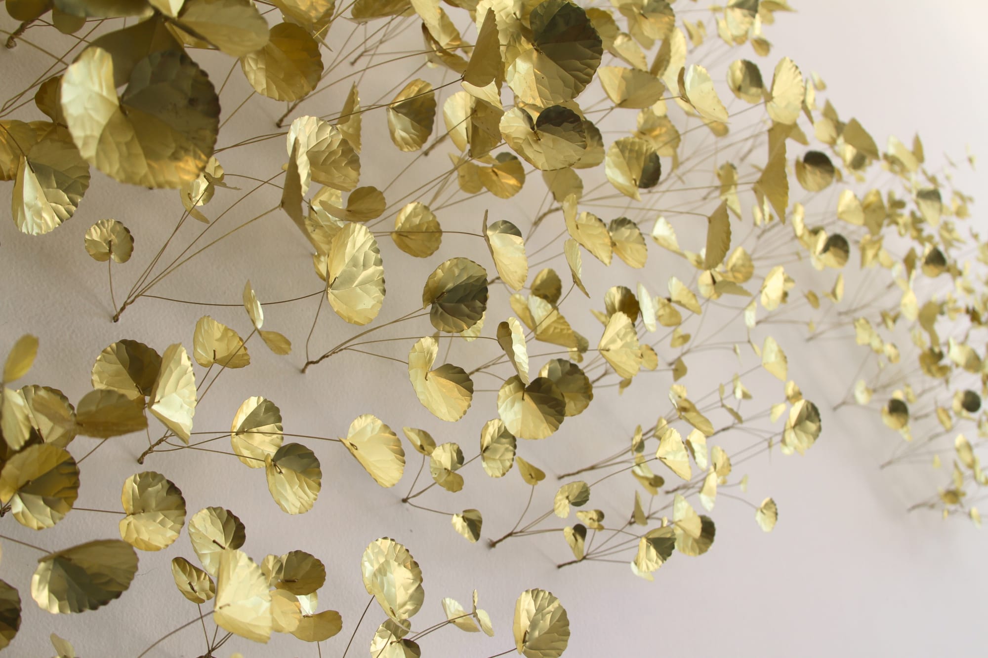 Kirk Maxson – Foraging