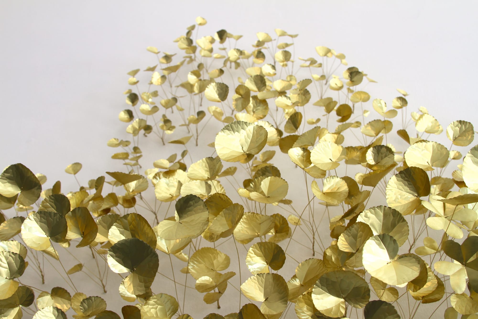 Kirk Maxson – Foraging