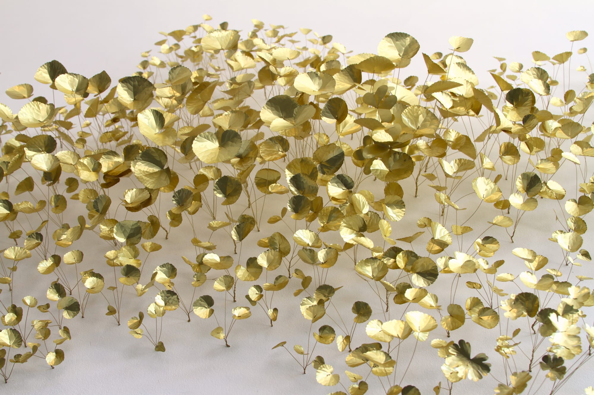 Kirk Maxson – Foraging