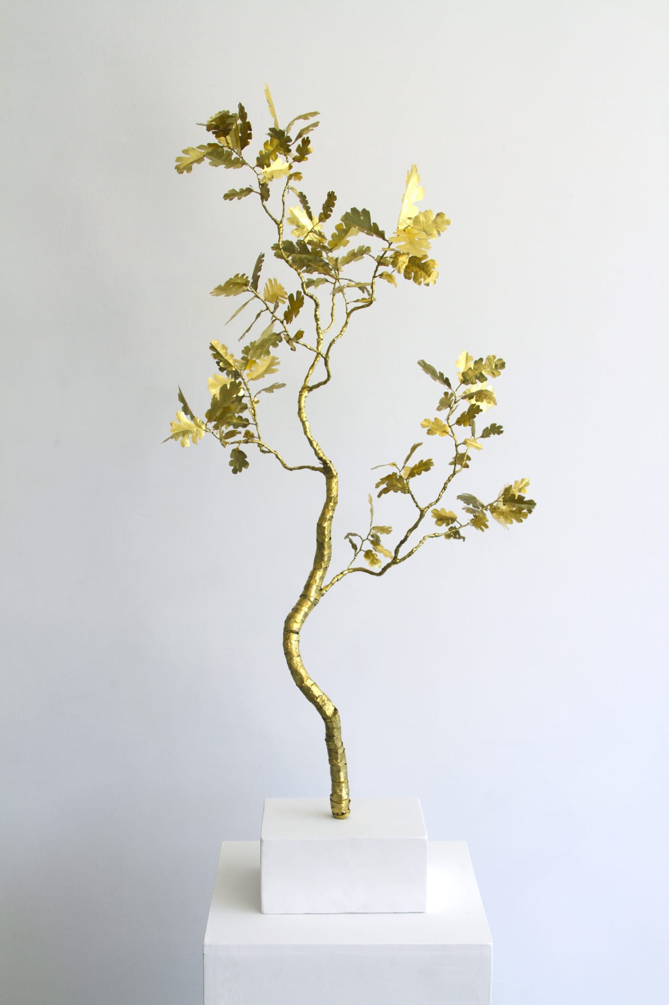 Kirk Maxson – Foraging