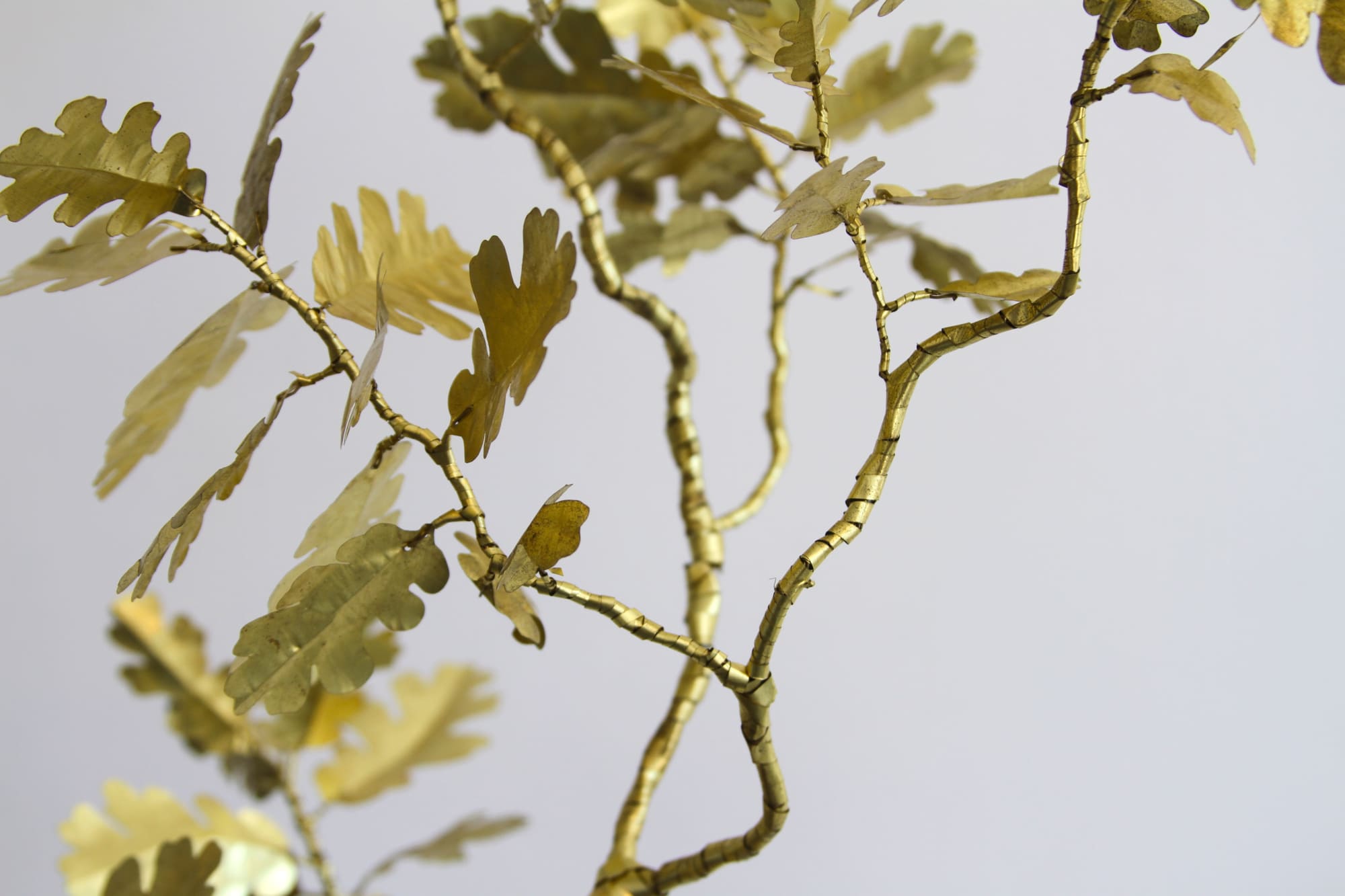 Kirk Maxson – Foraging