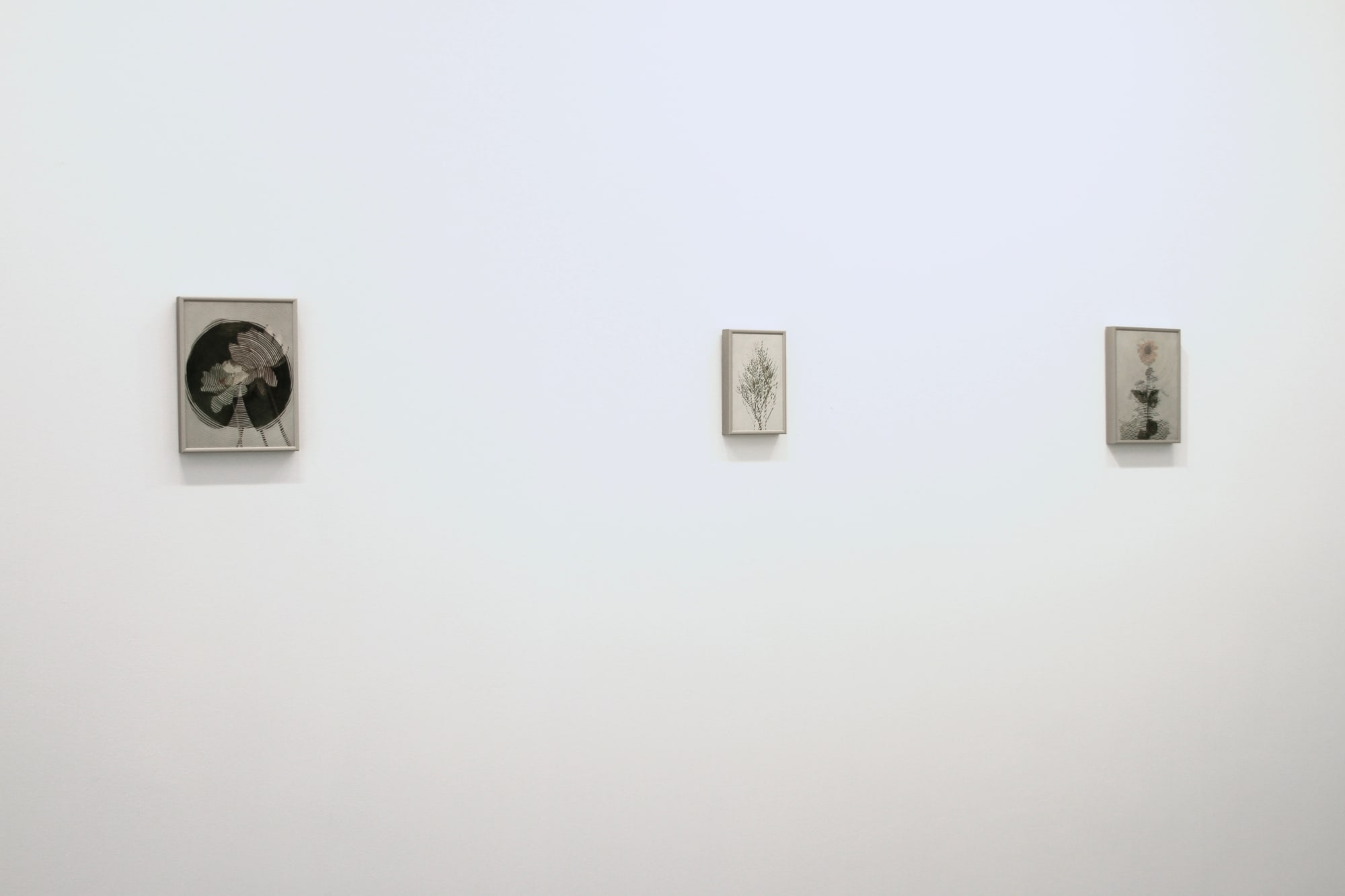 Kirk Maxson – Foraging