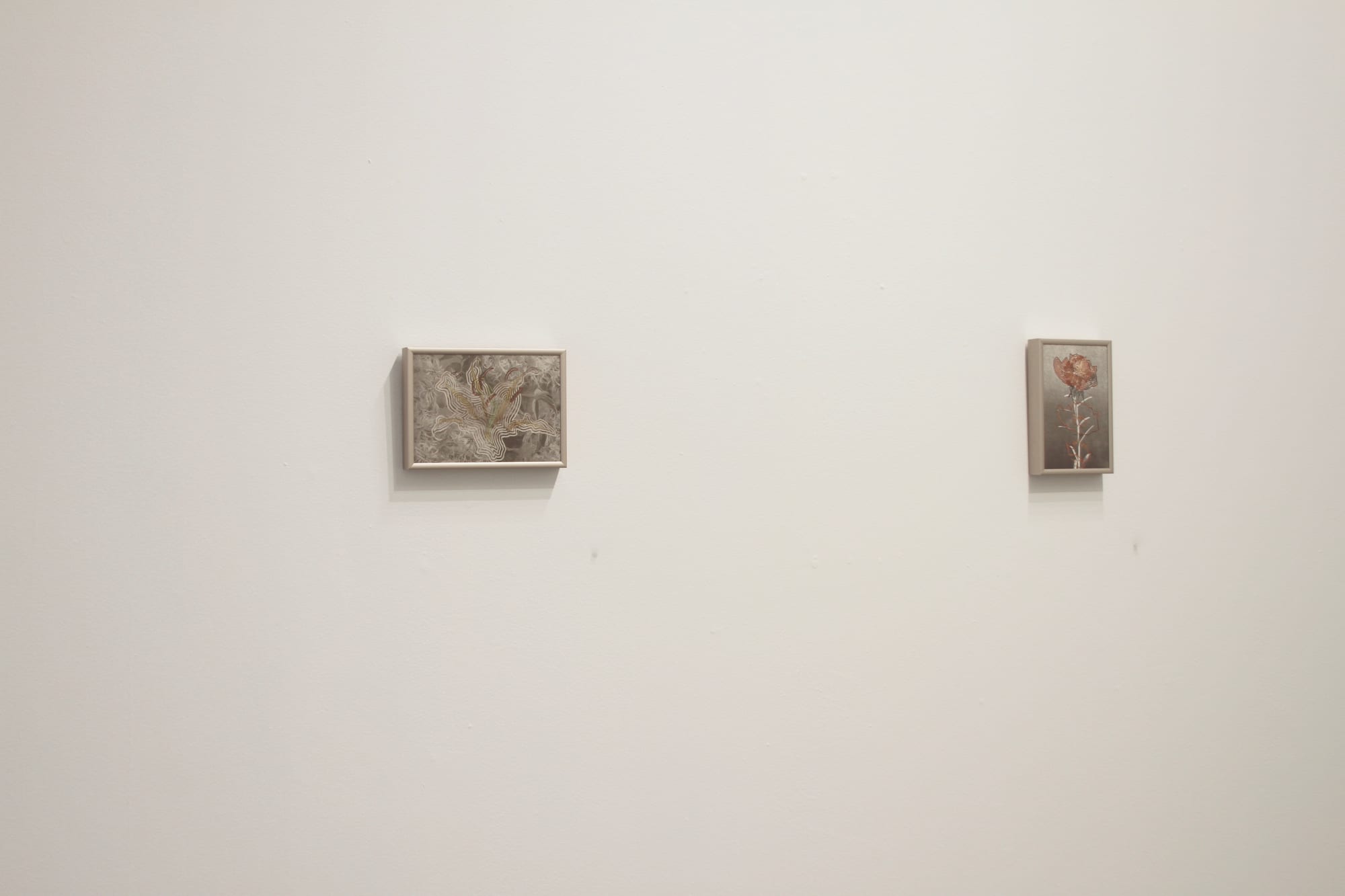 Kirk Maxson – Foraging