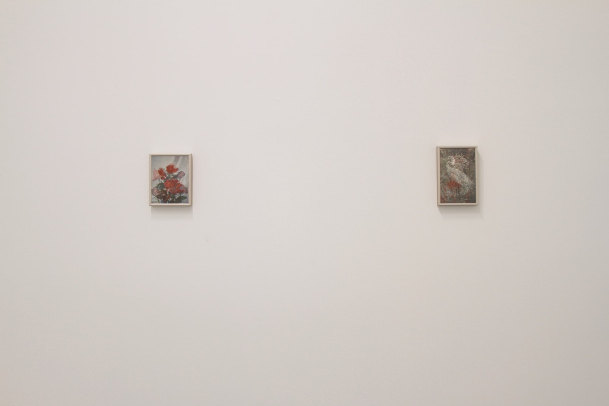 Kirk Maxson – Foraging