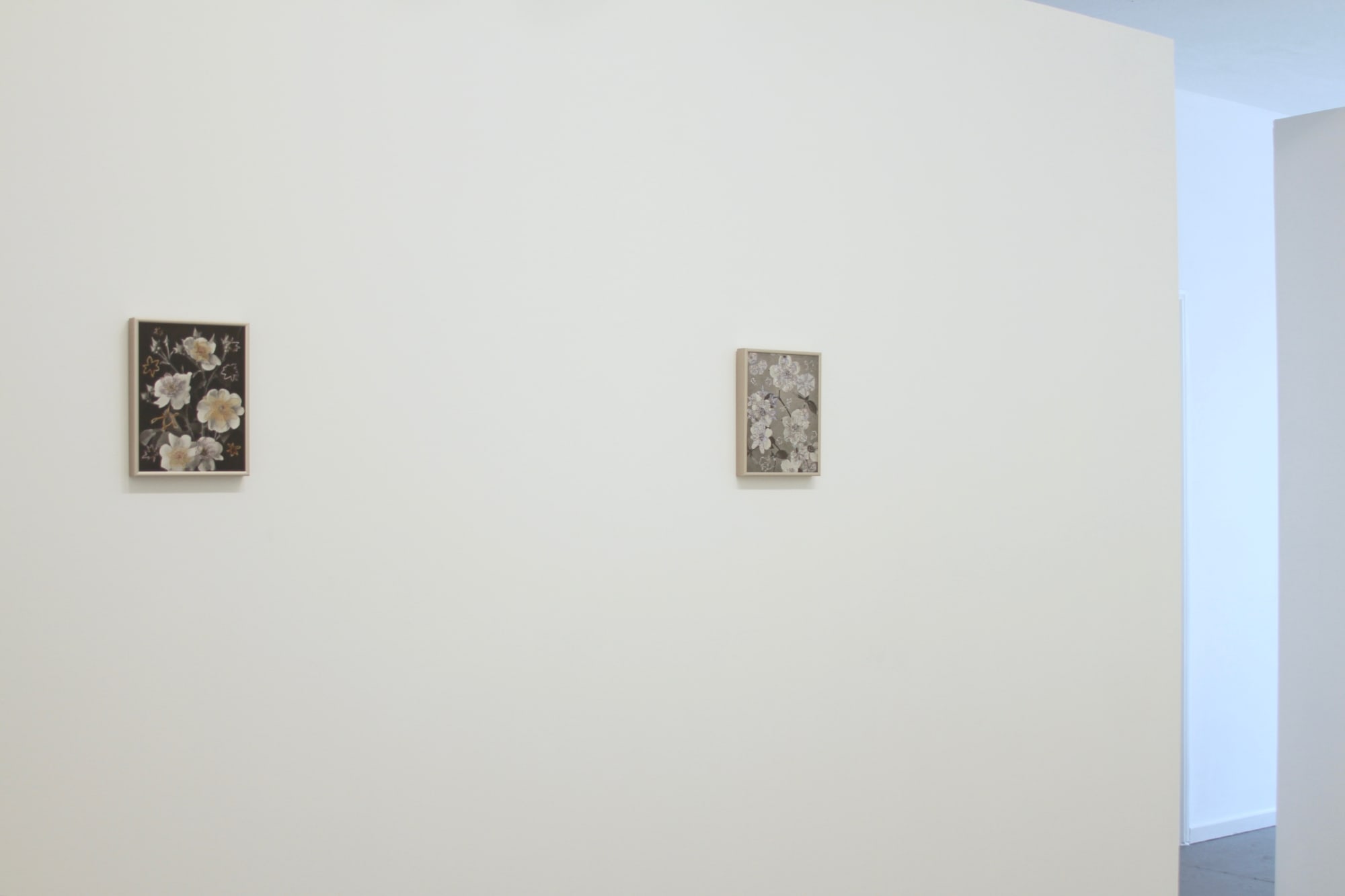 Kirk Maxson – Foraging