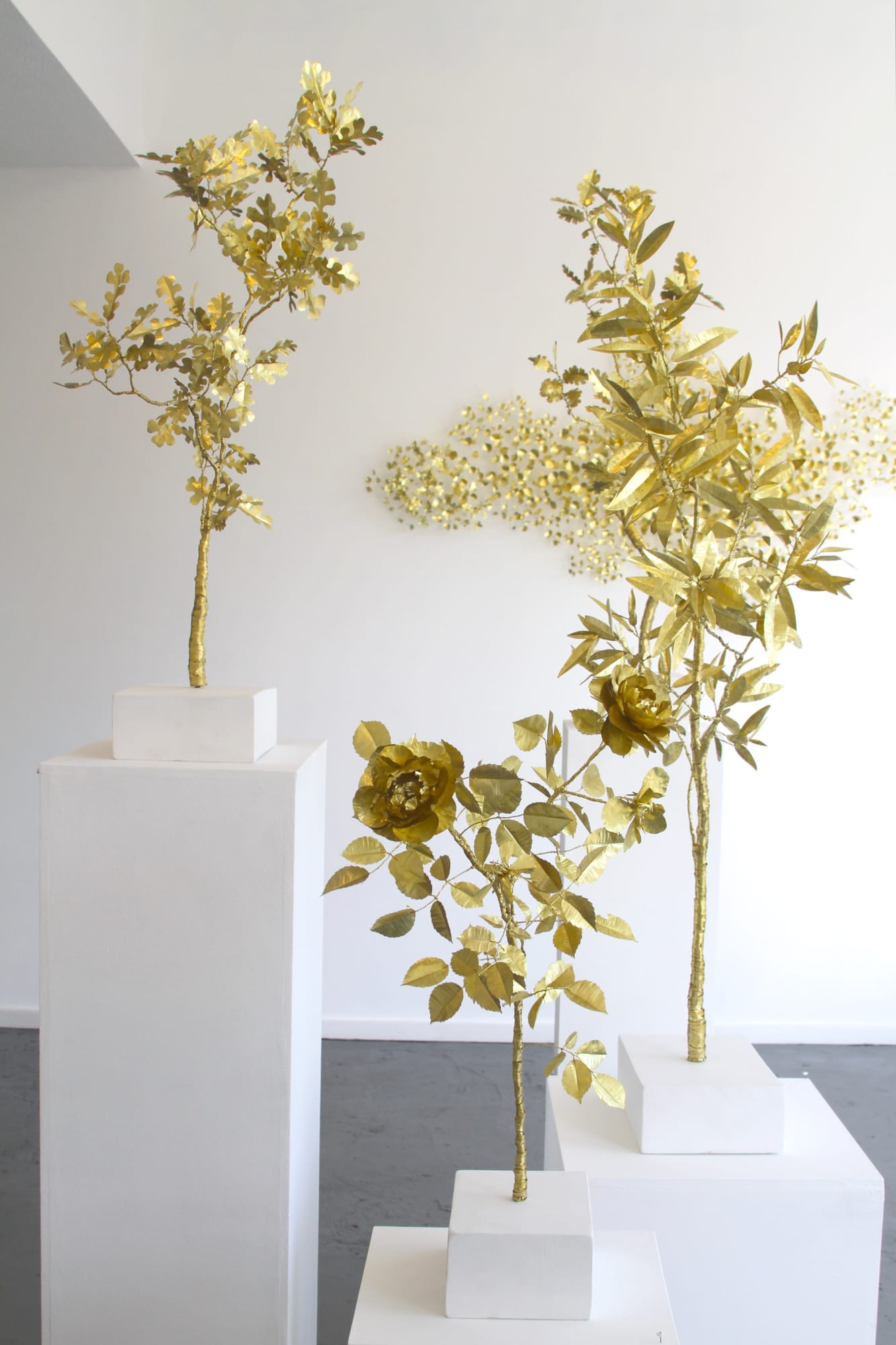 Kirk Maxson – Foraging