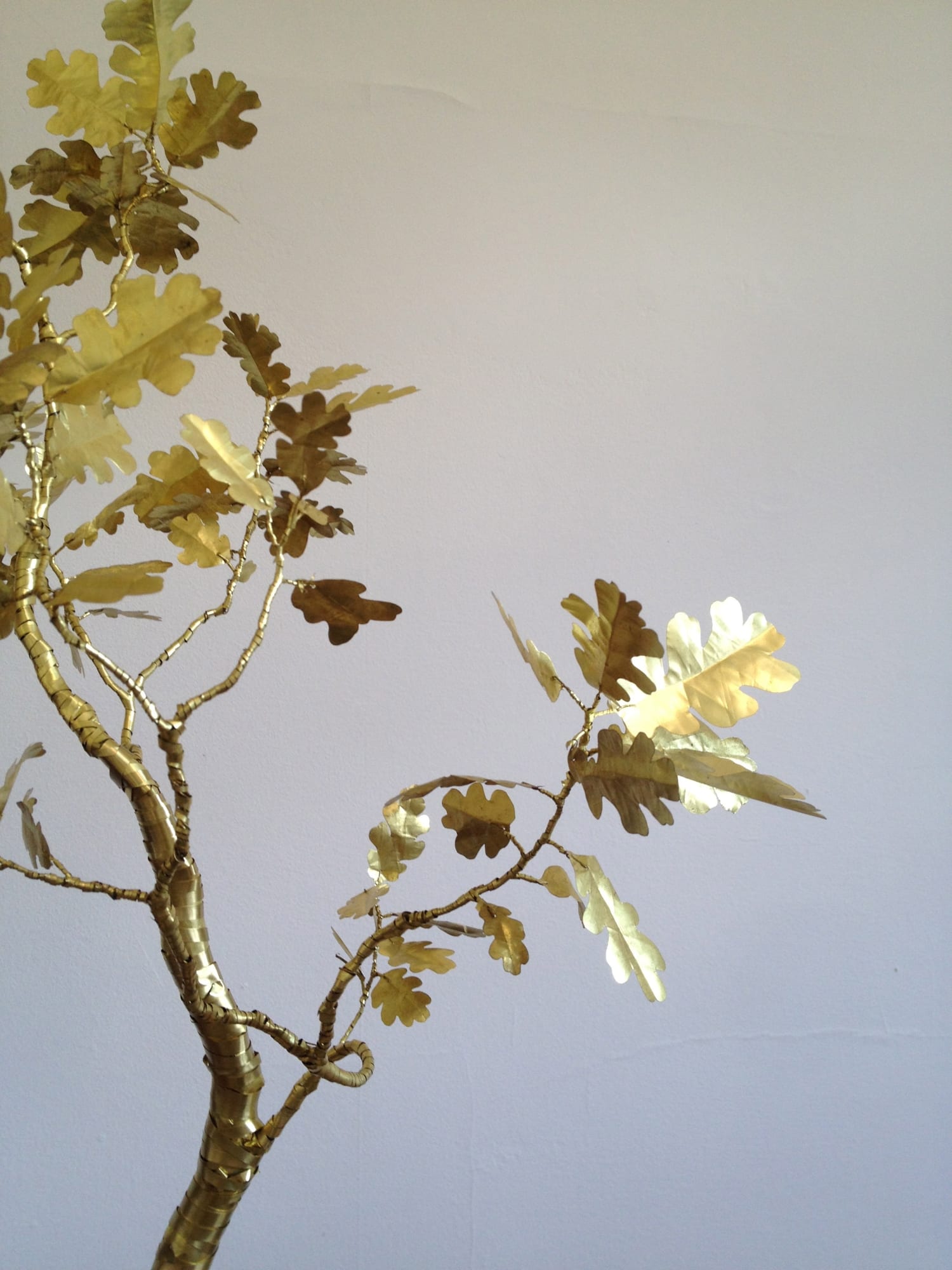 Kirk Maxson – Foraging