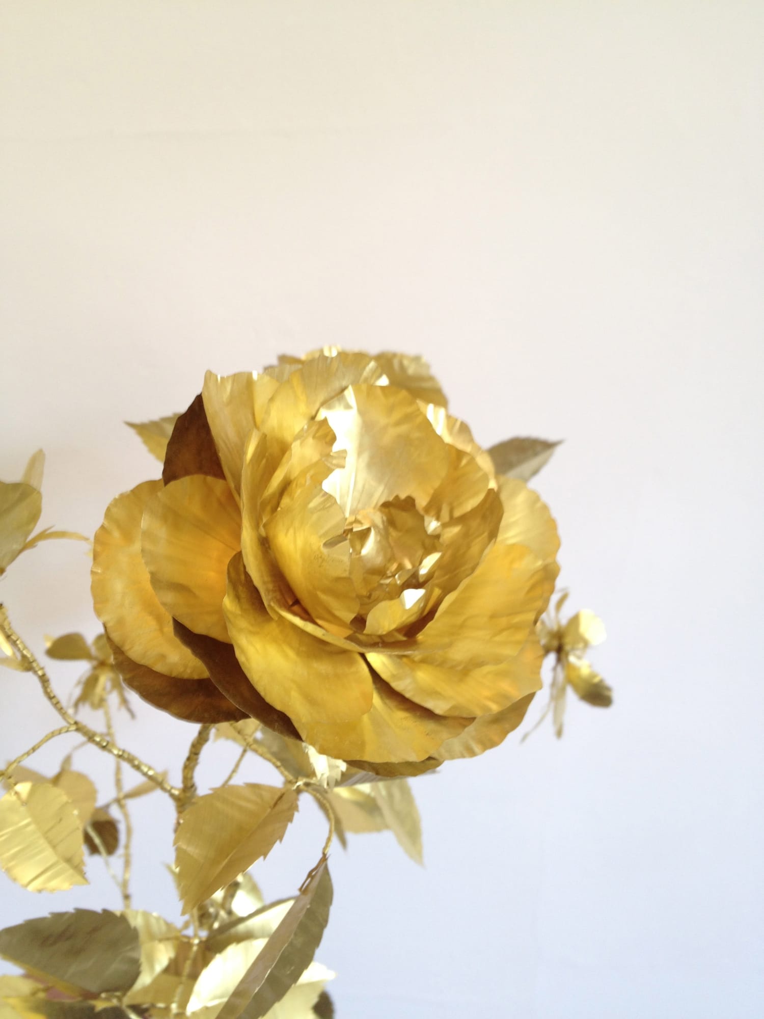 Kirk Maxson – Foraging