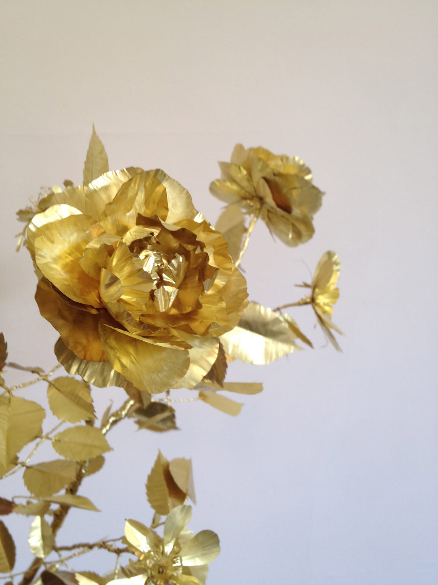 Kirk Maxson – Foraging