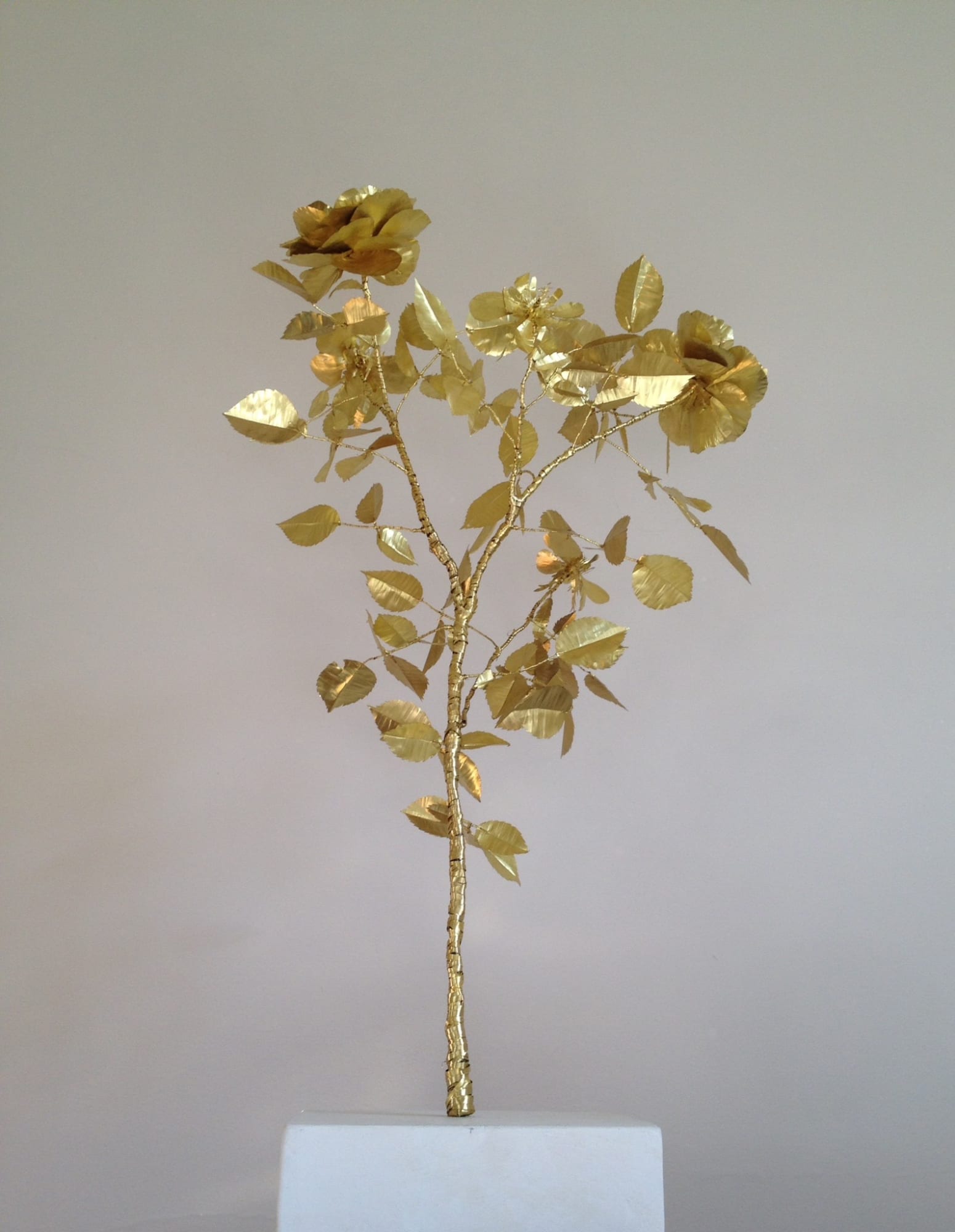 Kirk Maxson – Foraging