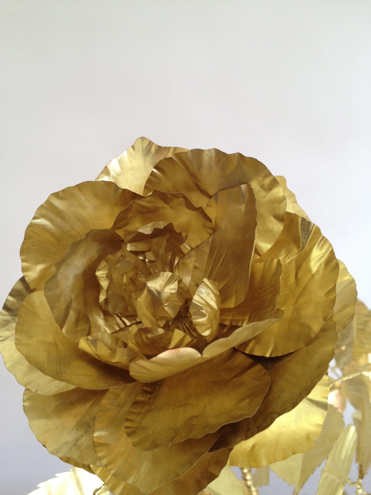 Kirk Maxson – Foraging