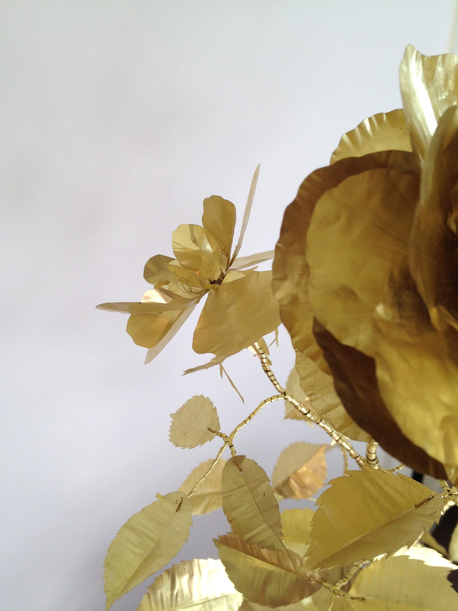 Kirk Maxson – Foraging