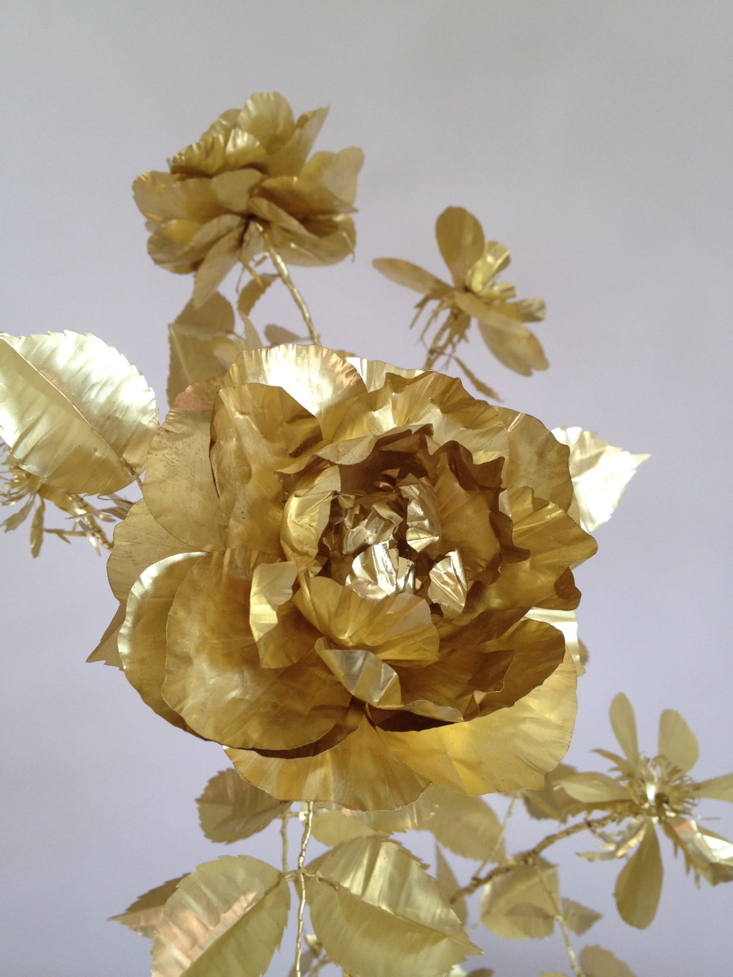 Kirk Maxson – Foraging