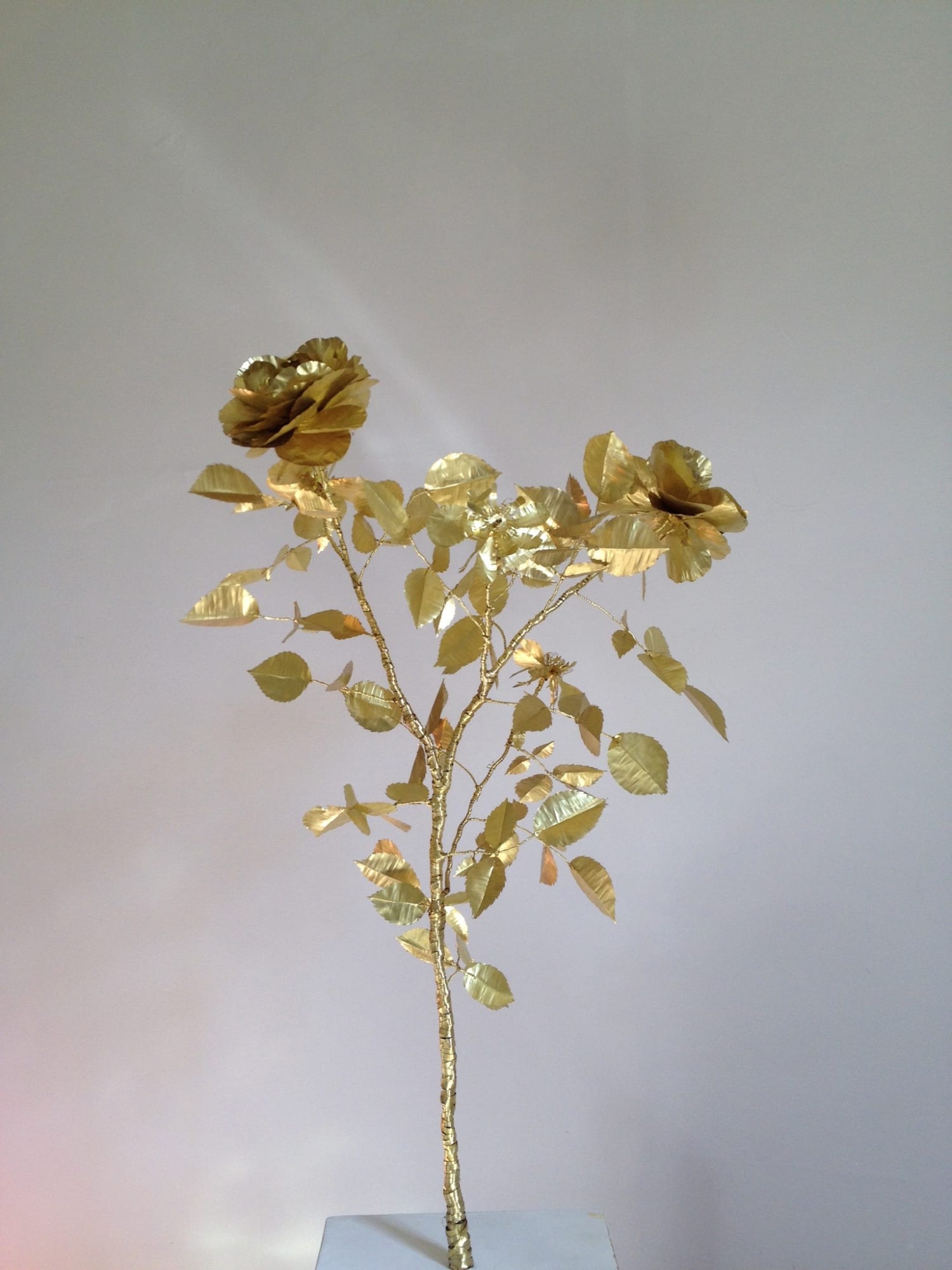 Kirk Maxson – Foraging