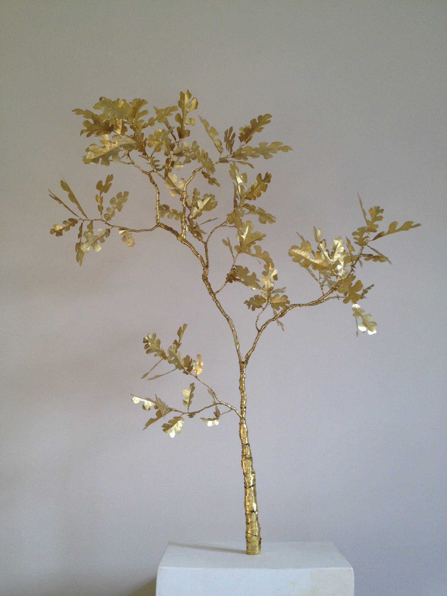 Kirk Maxson – Foraging