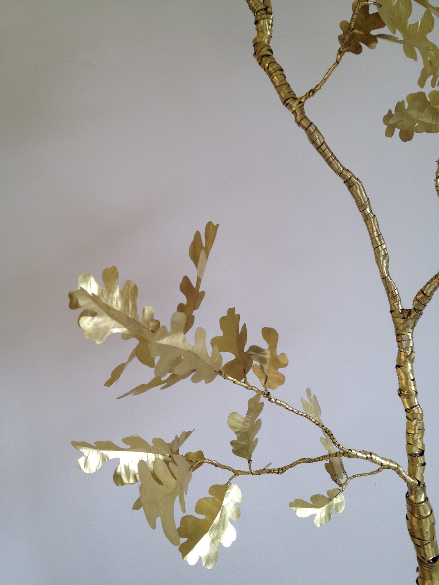 Kirk Maxson – Foraging