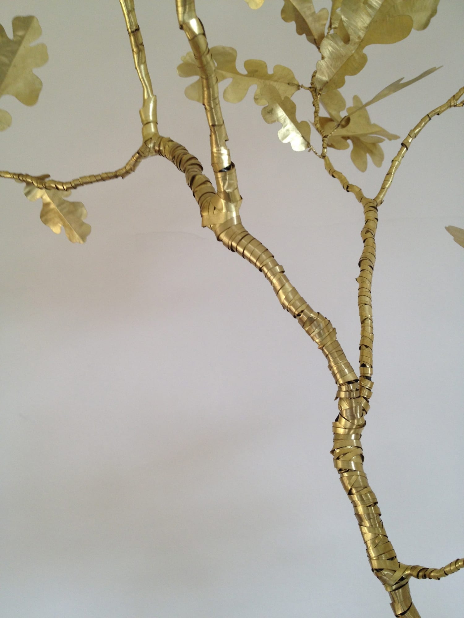 Kirk Maxson – Foraging