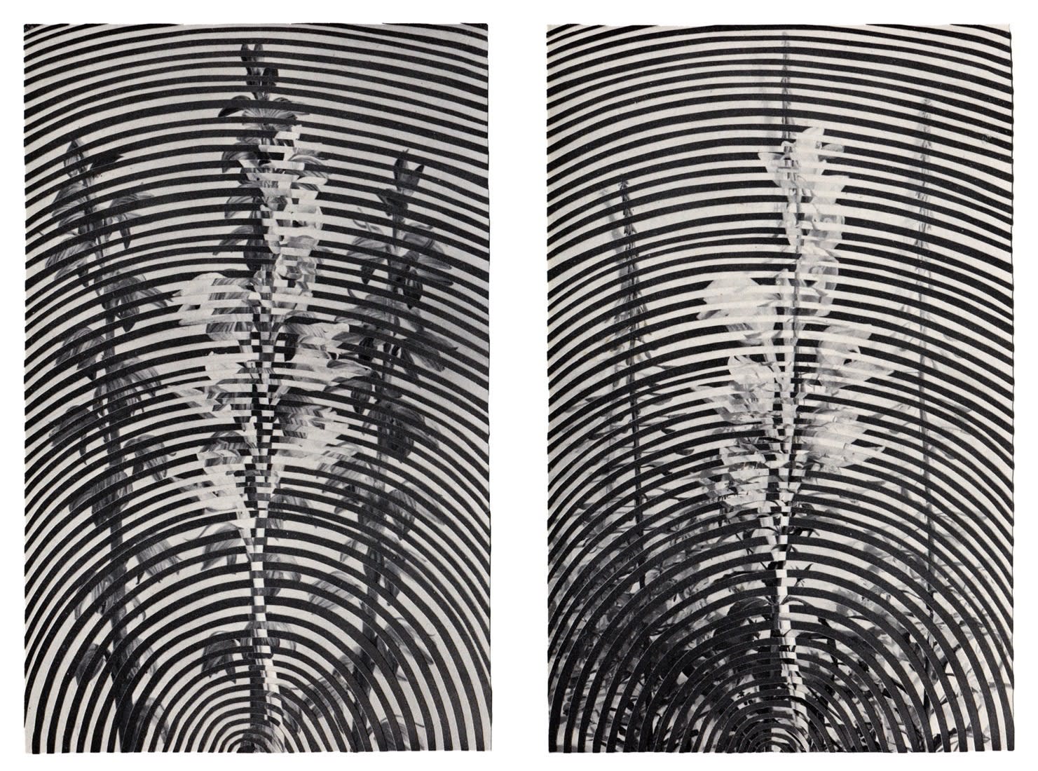 Alexis Anne Mackenzie – Multiverse