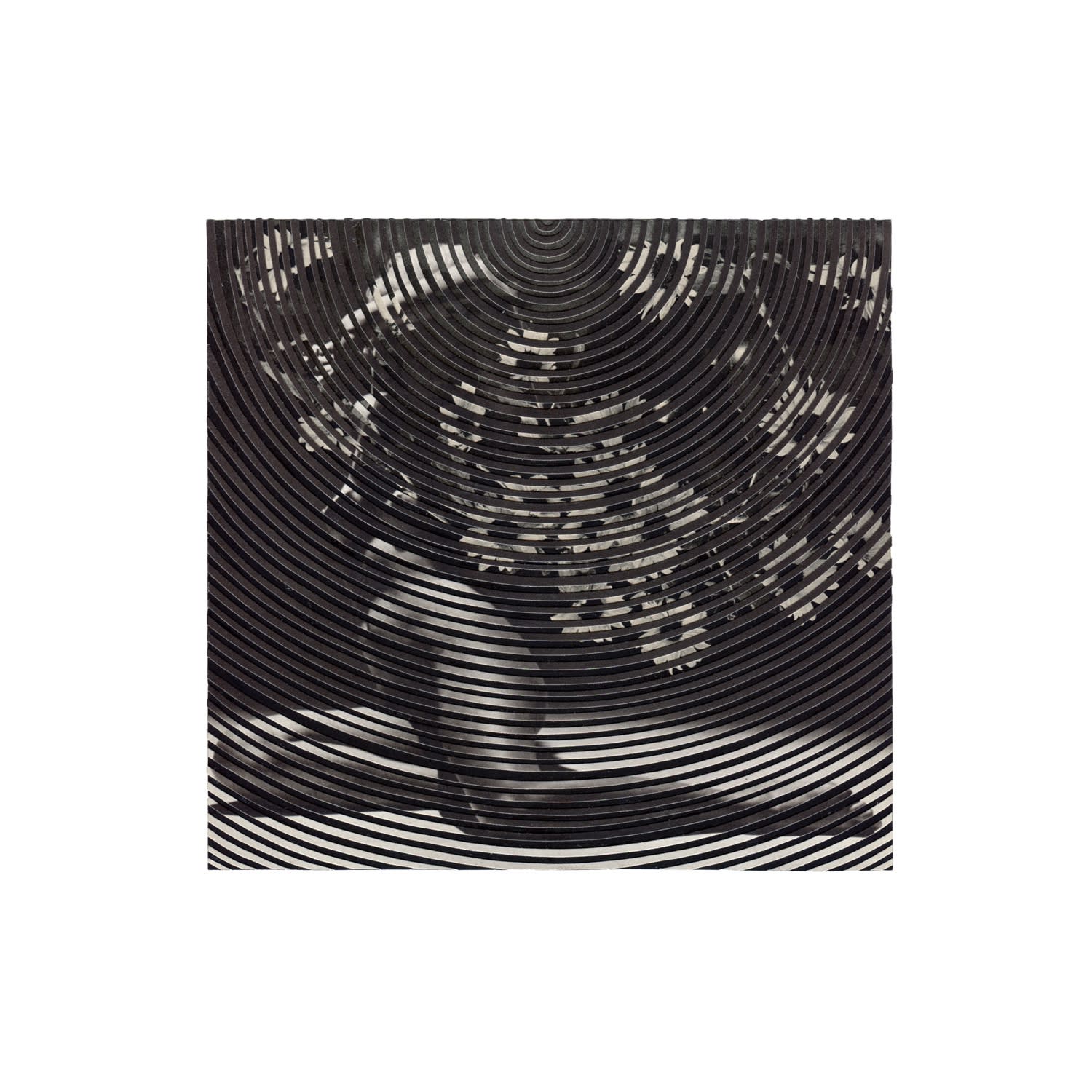 Alexis Anne Mackenzie – Multiverse