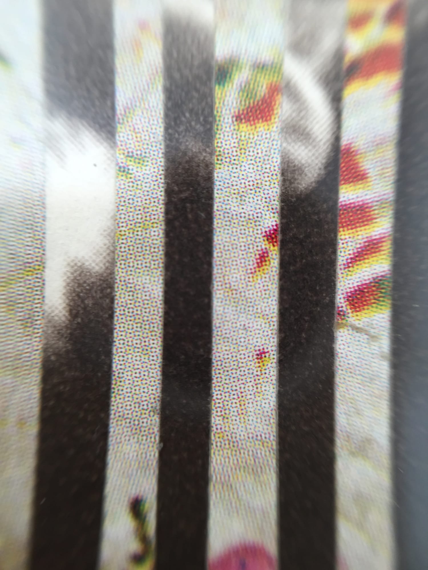 Alexis Anne Mackenzie – Multiverse