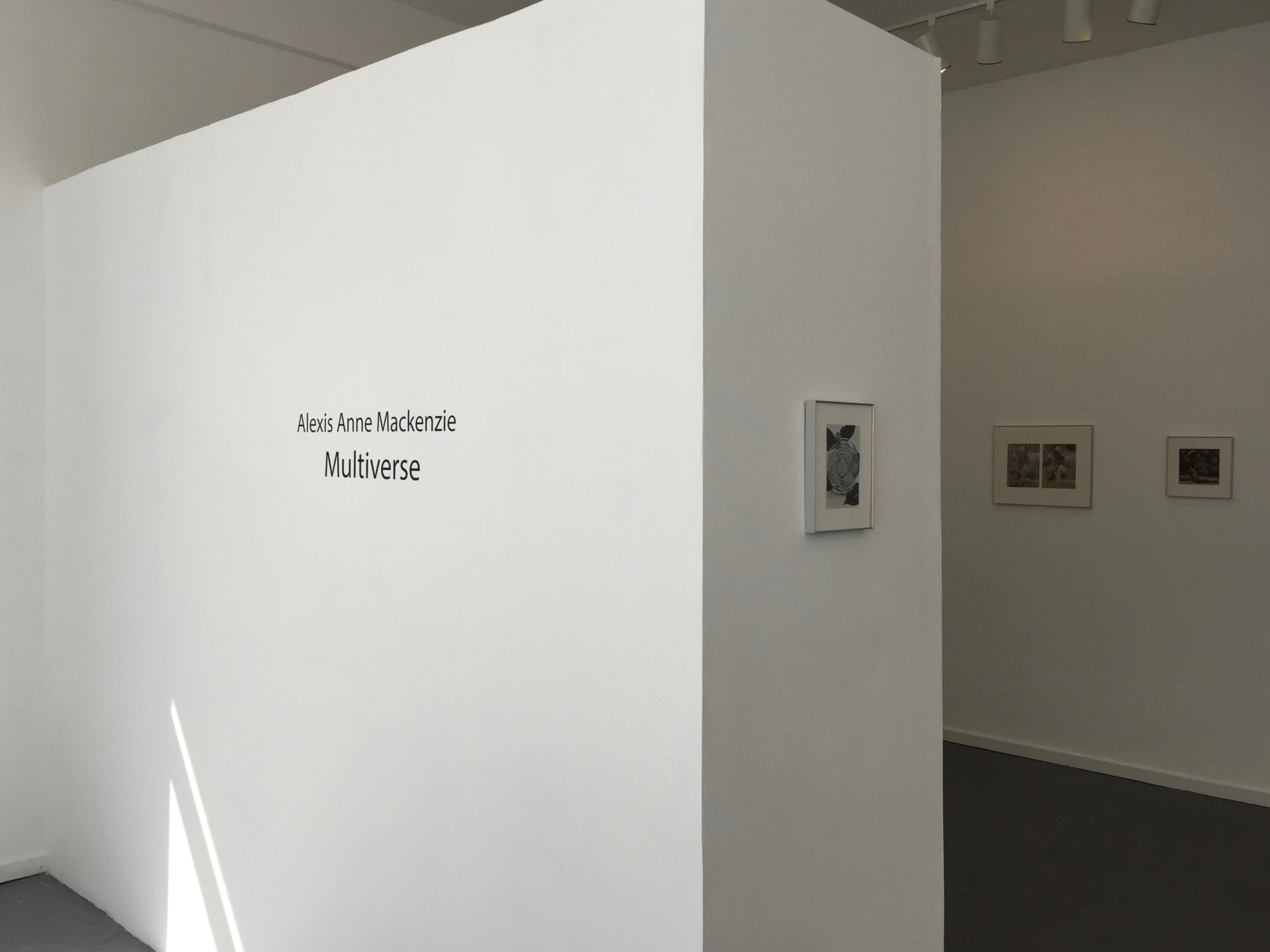 Alexis Anne Mackenzie – Multiverse