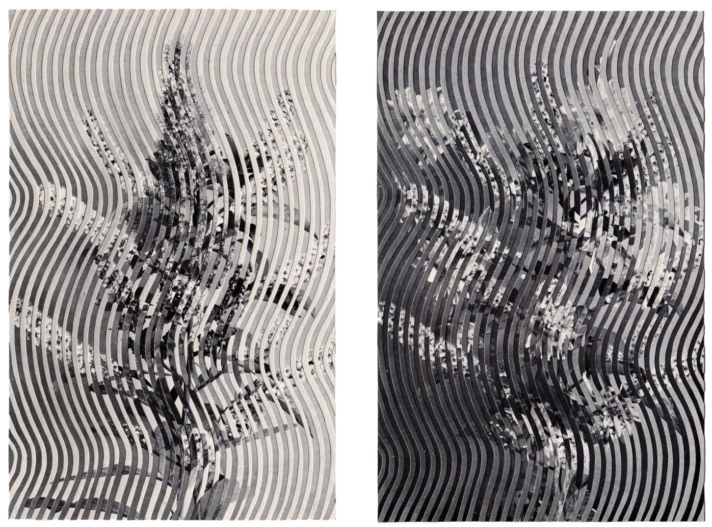 Alexis Anne Mackenzie – Multiverse