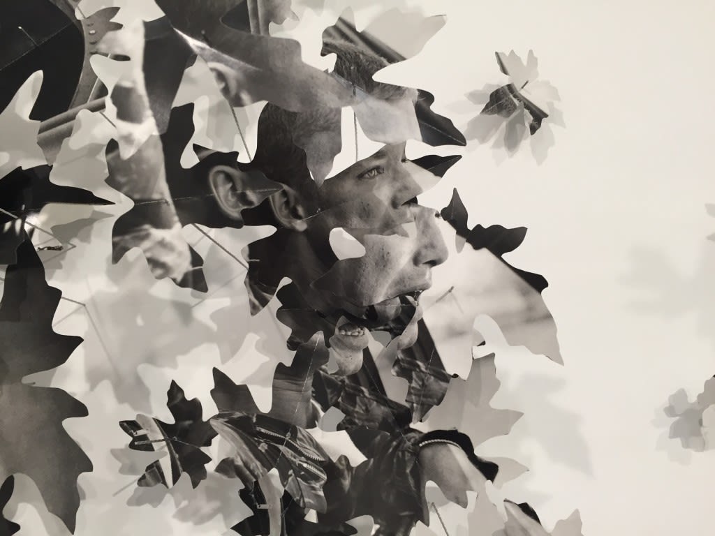 Kirk Maxson – Gardens of Paradise